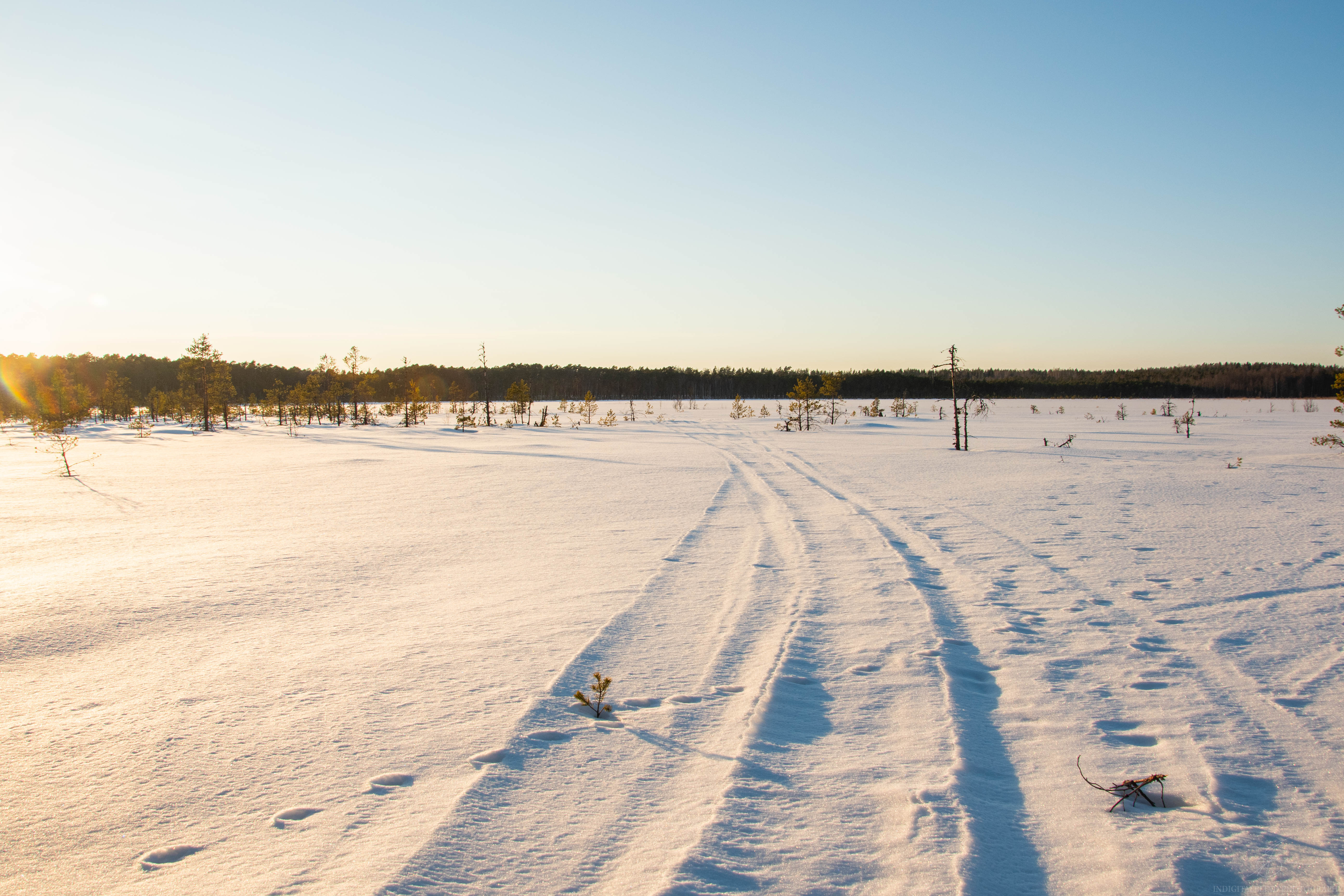 DSC_0119-2.jpg