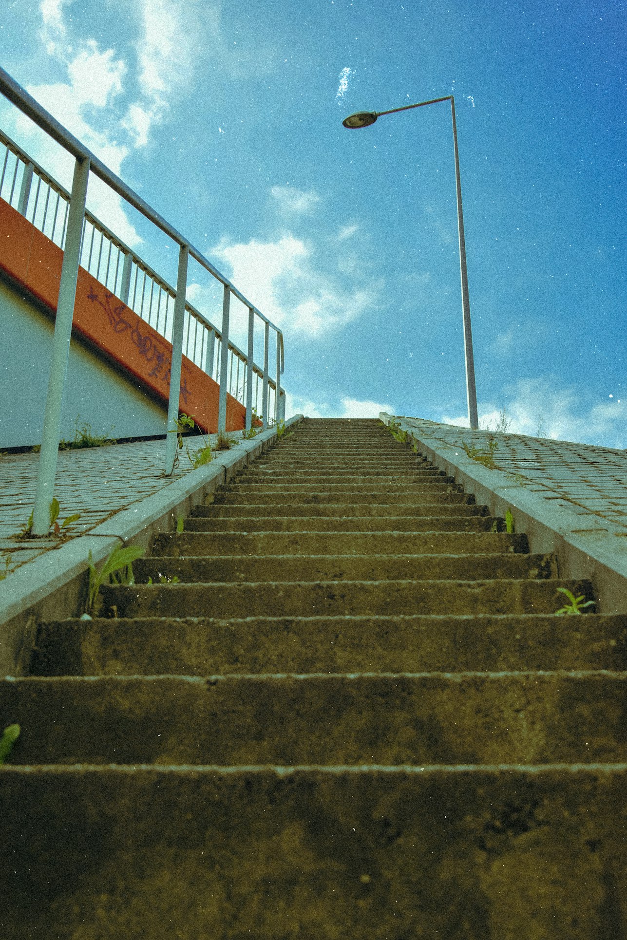 1000001301.jpg