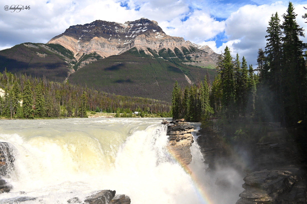 athabasca falls (13).jpg