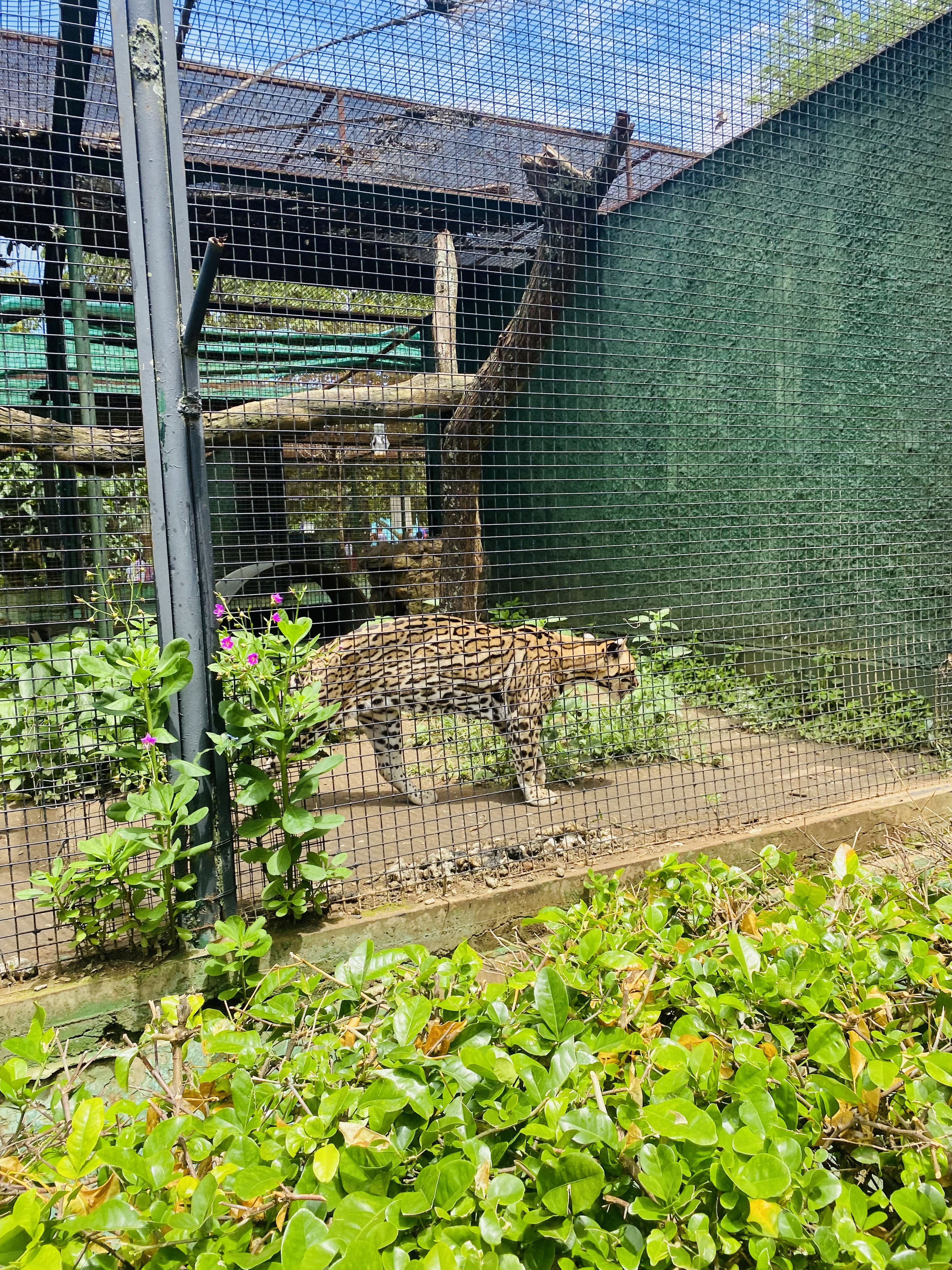 IMG_8898_Original.jpeg