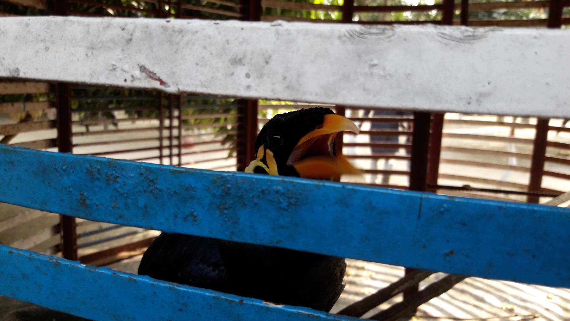 VideoCapture_20230128-164132.jpg