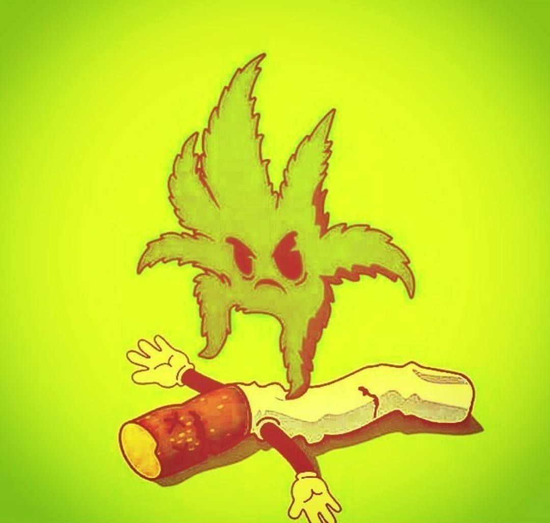 That's right little leafy, you kick his butt! ⚱️.jpeg