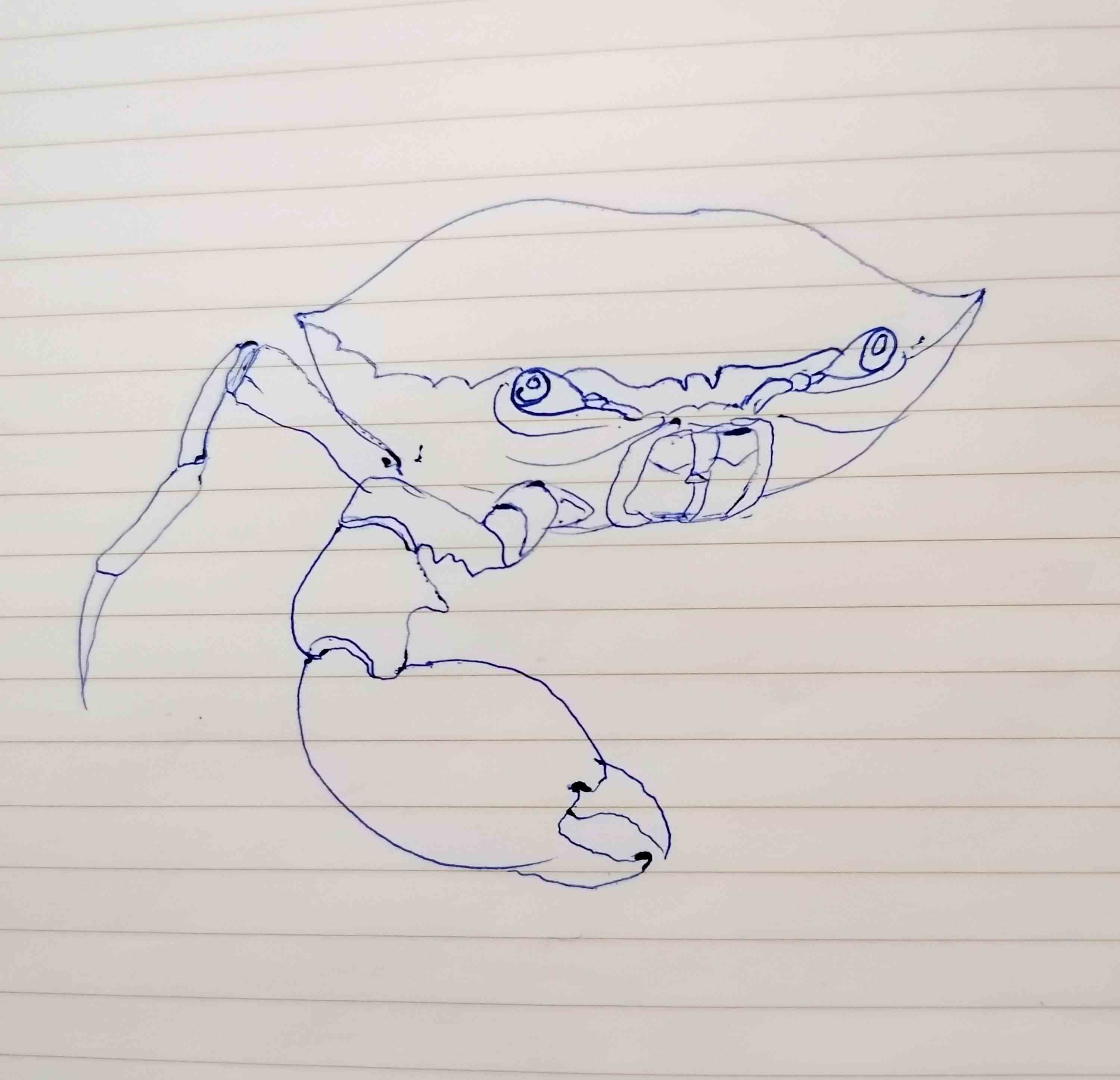 776931056318494383.jpg
