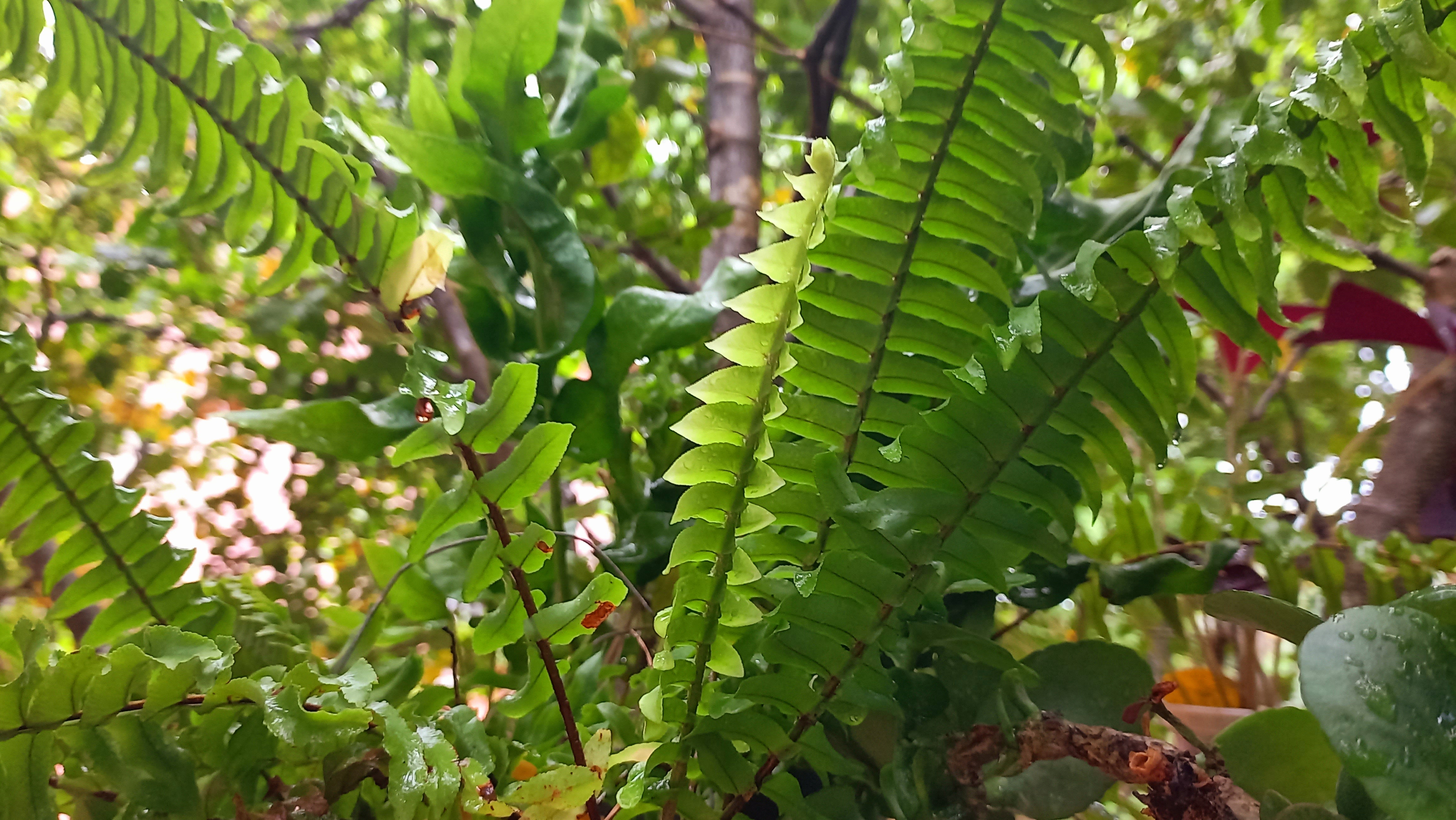 20250802_131640.jpg