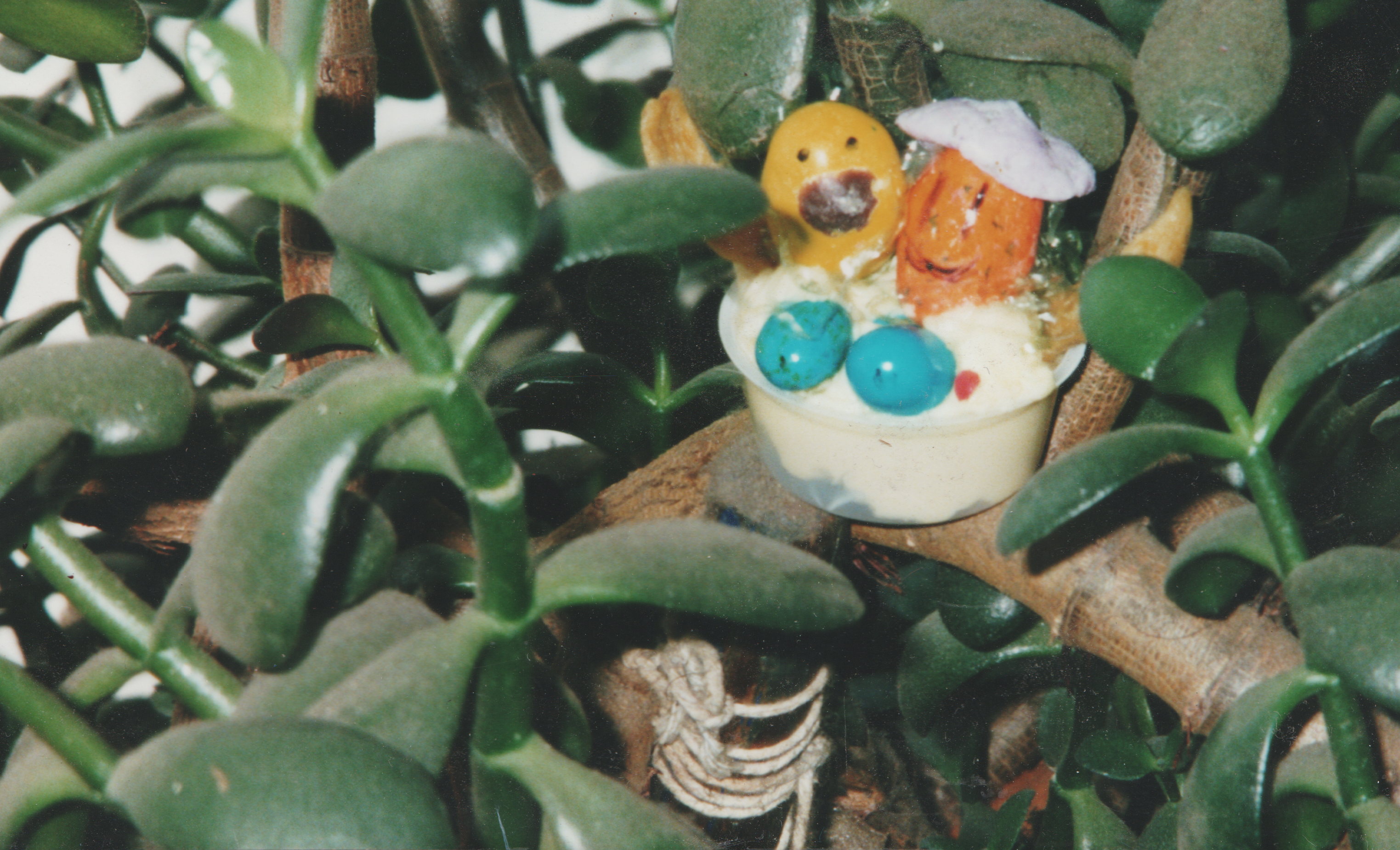 1999 maybe apx - Easter - Katie Arnold Constructed This, Mary's Kitchen-1.jpg