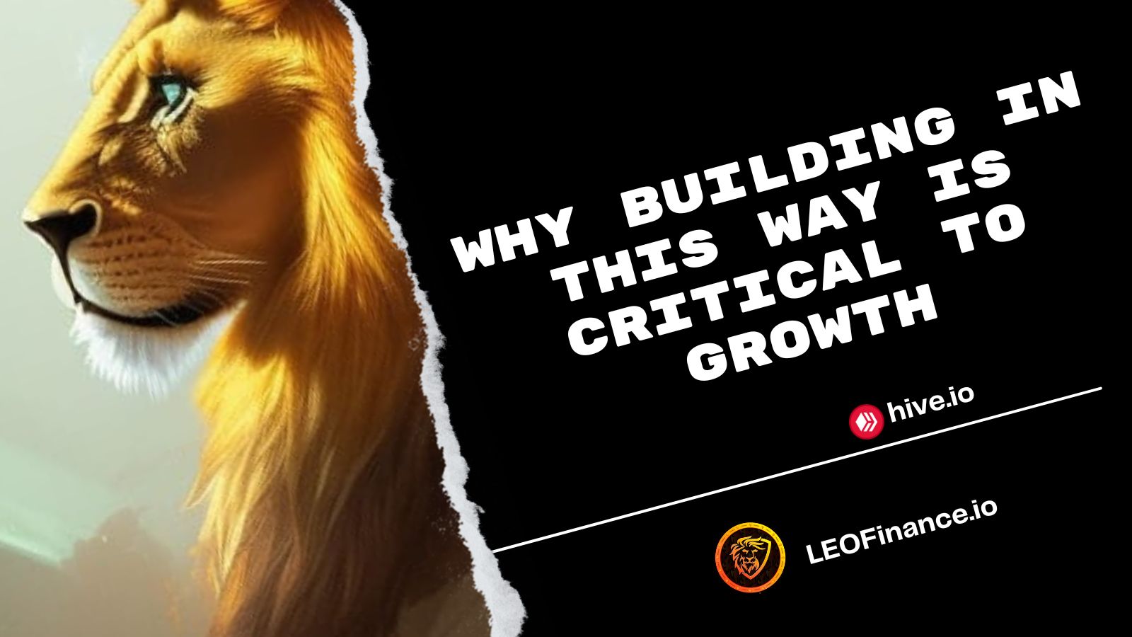 @bitcoinflood/why-building-in-this-way-is-critical-to-growth