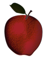 imagen.png
