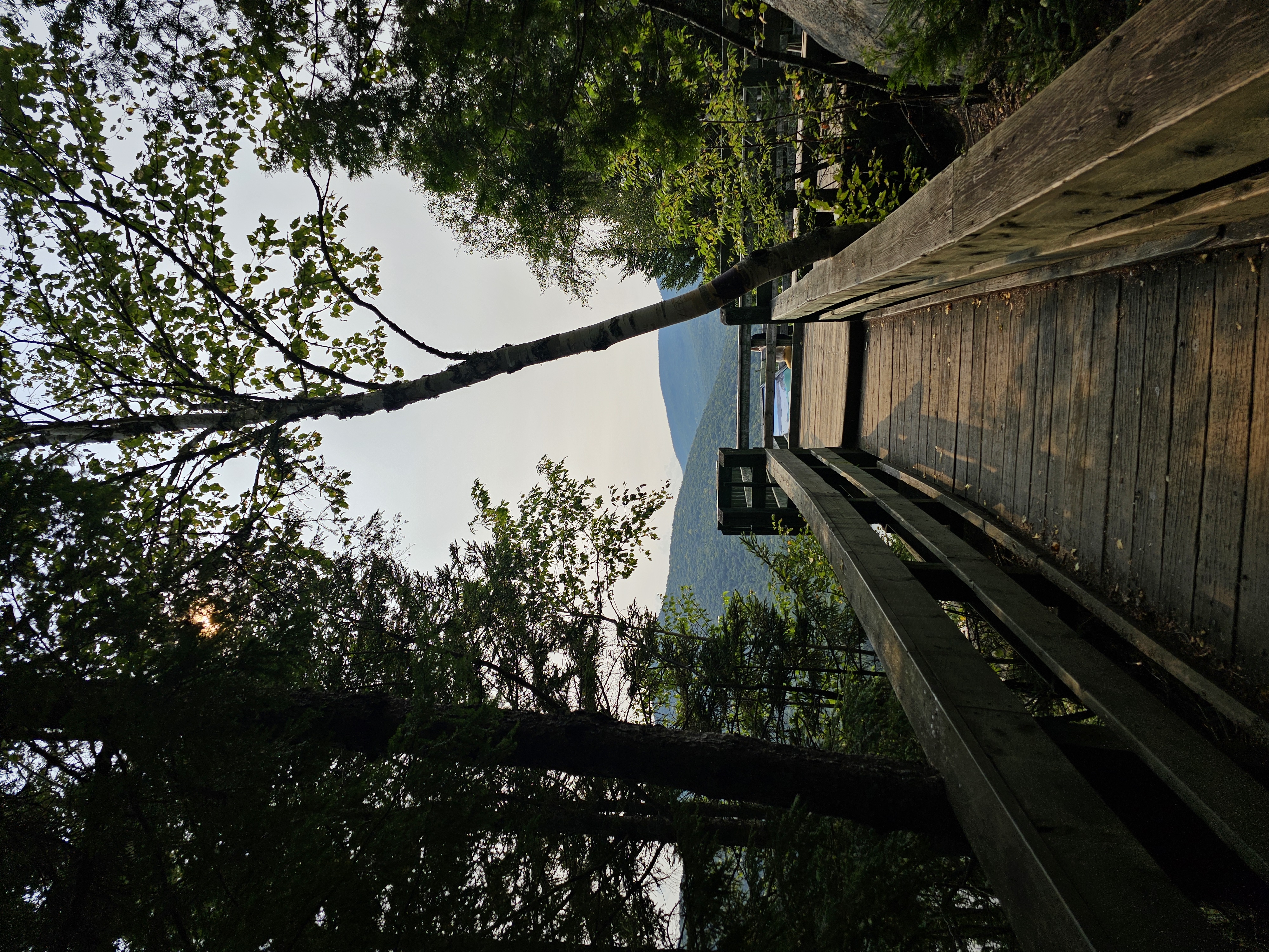 Slow steps & Wild Paths: My Gentle Wellness Journey as a Nature-Loving MaMa