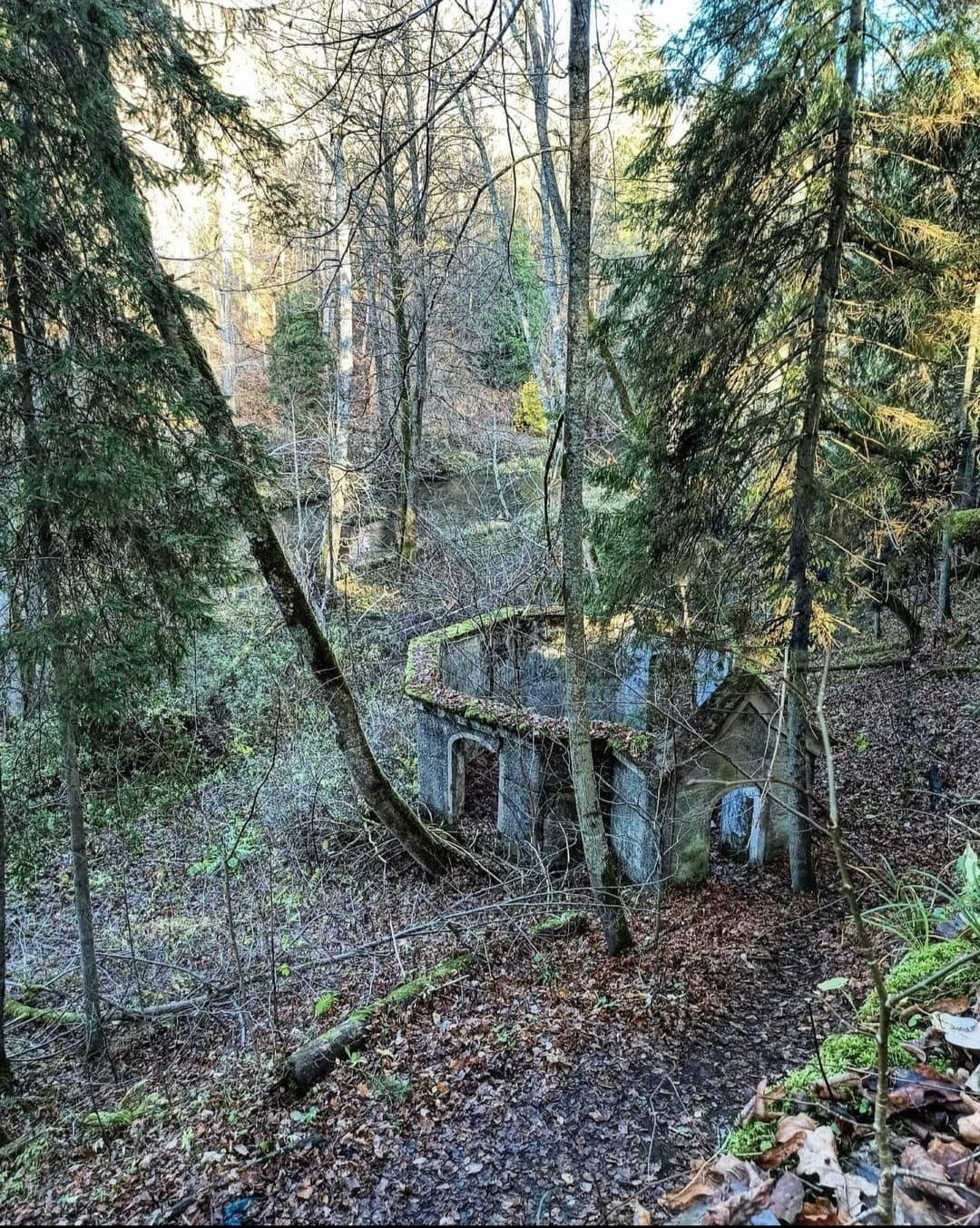 20220103184218.jpg