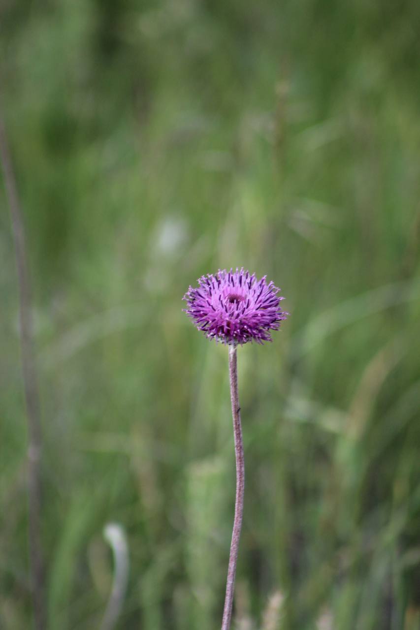IMG_5087.jpeg