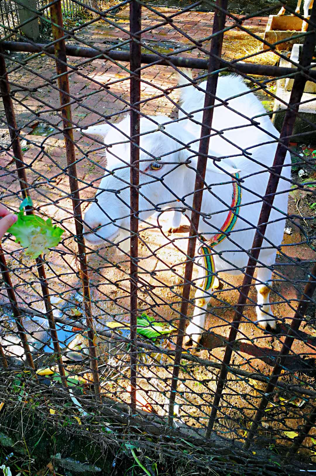 _20201007183801.jpg