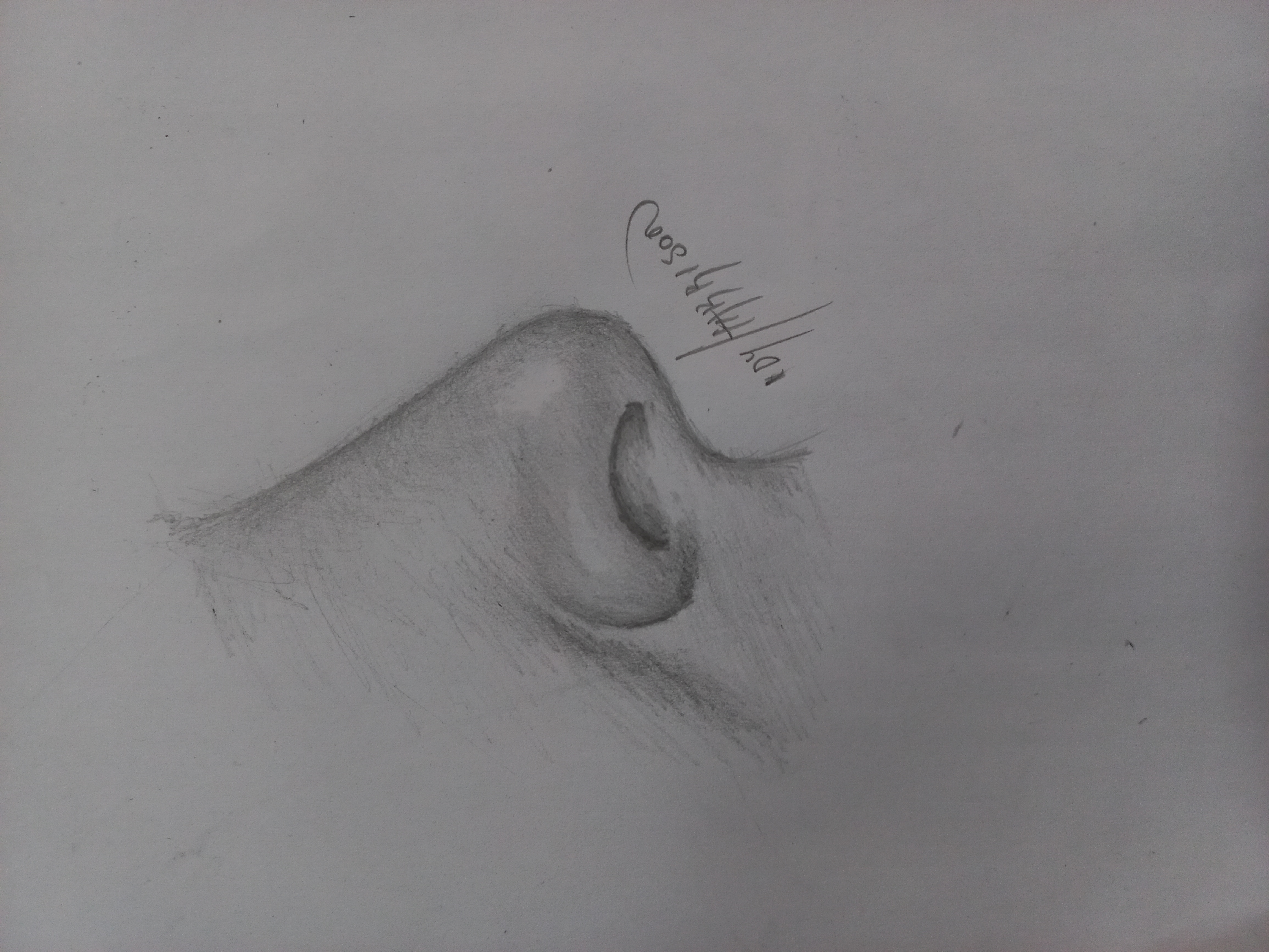 20220804_171701.jpg