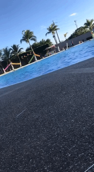 document_5017052938858660555.gif/