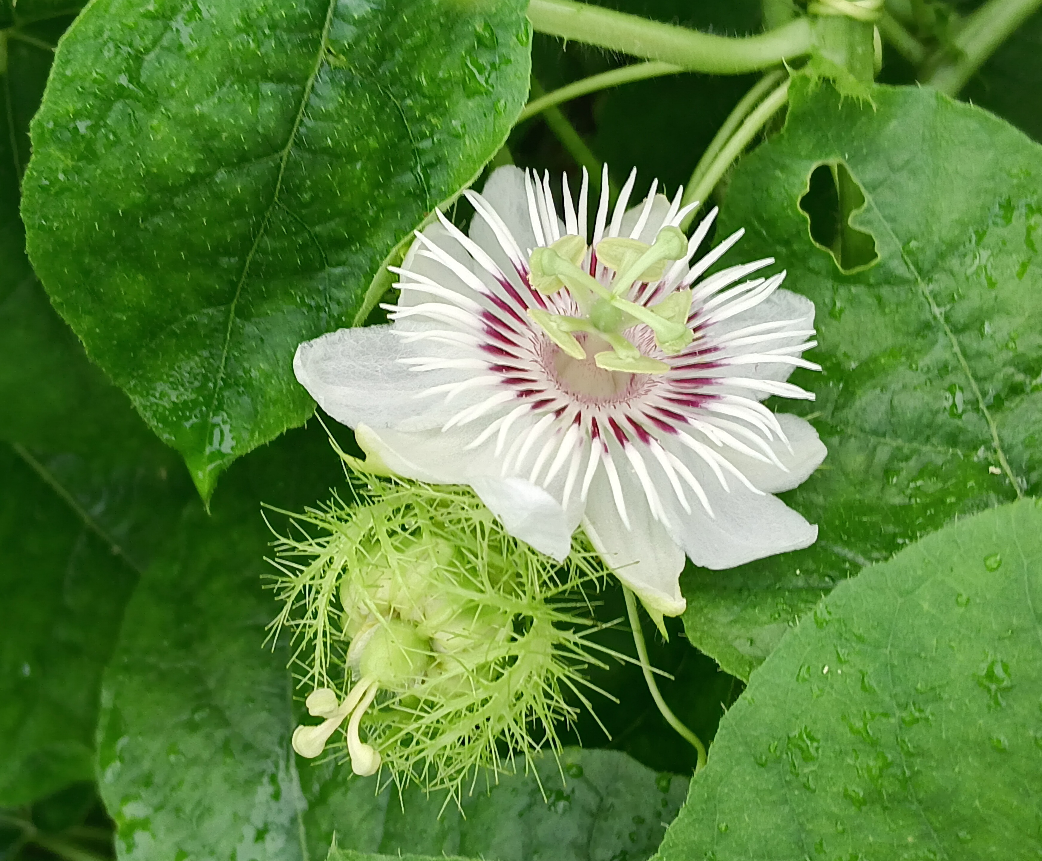 20250718_054841.jpg