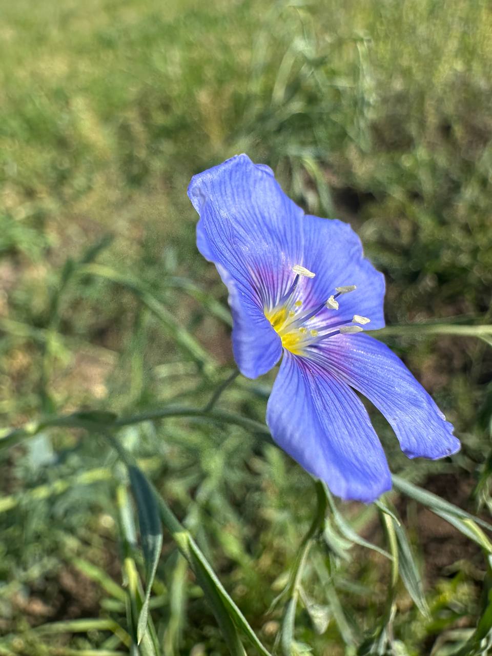 IMG_3937.jpeg