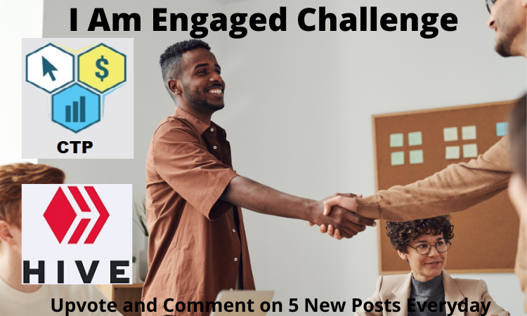 I Am Engaged Challenge (1).png