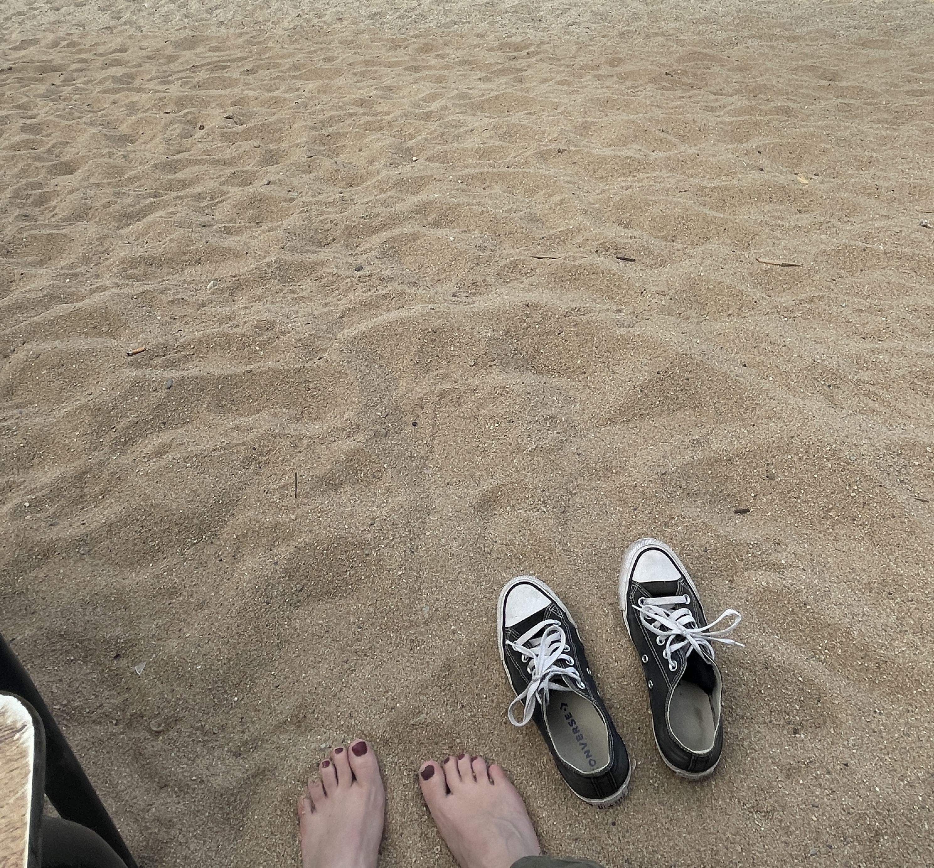 IMG_5448.jpeg