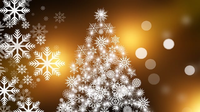 christmas-tree-574742_640.jpg