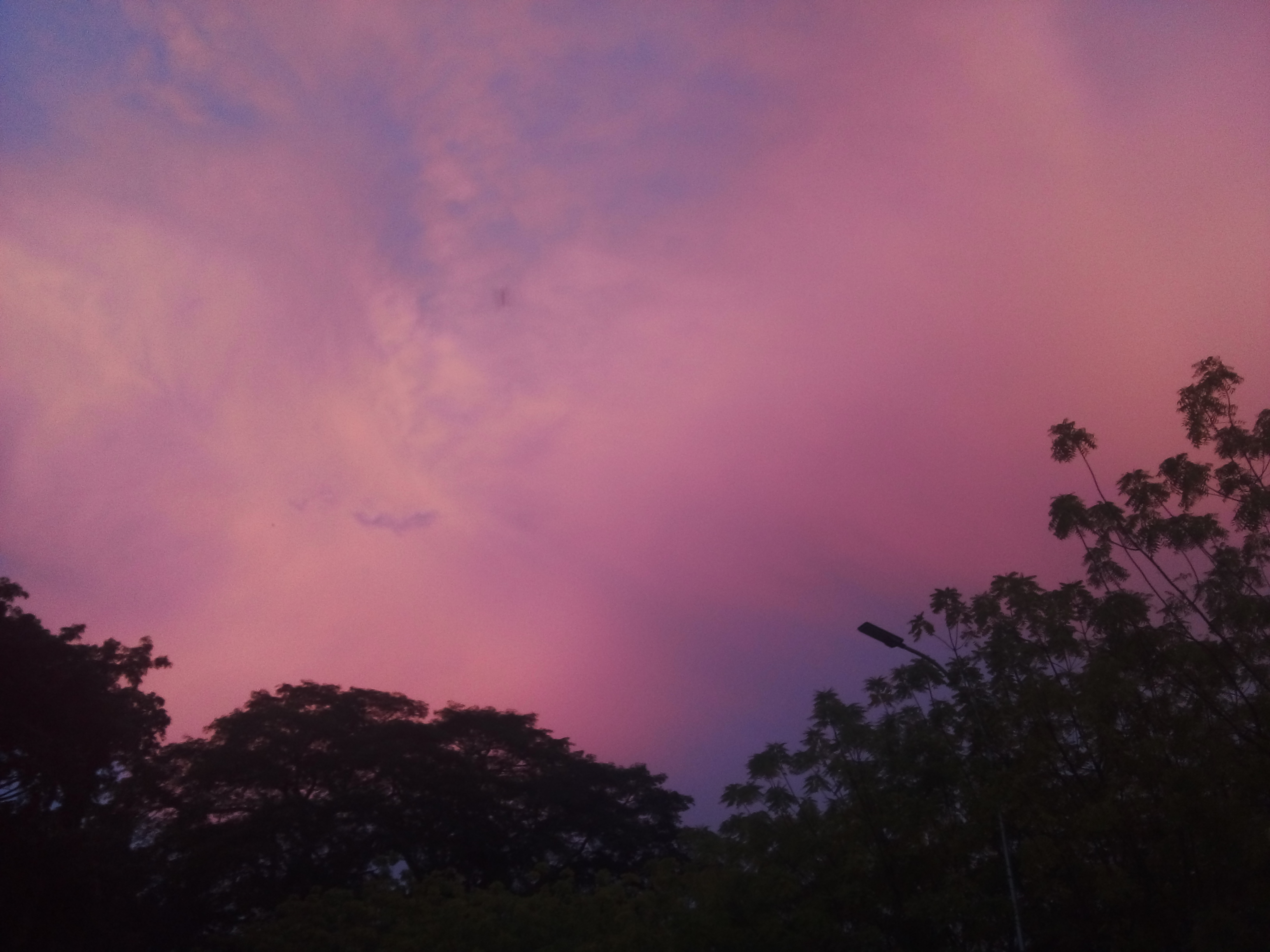 20220824_190613.jpg