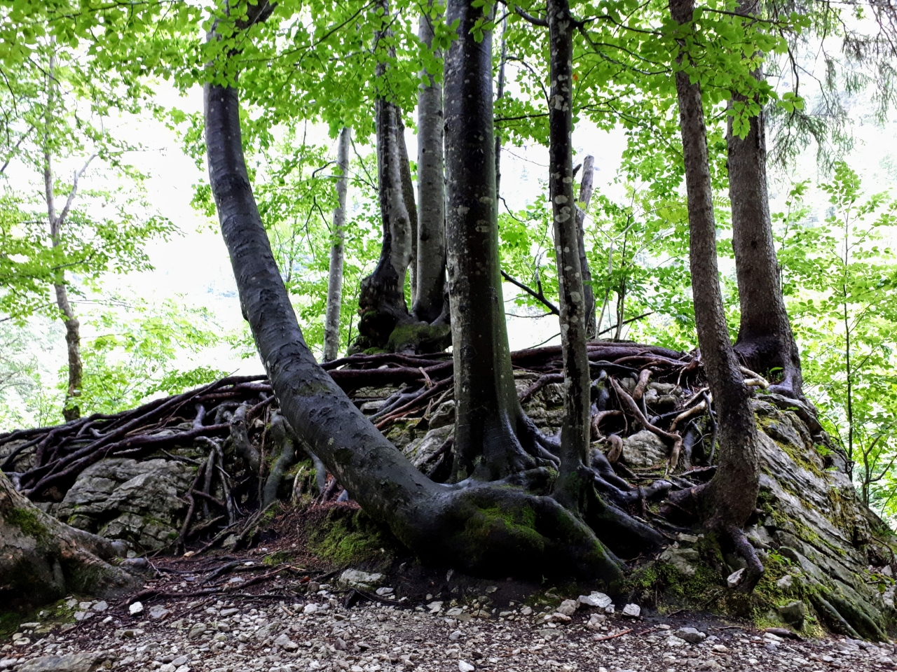 20190707_170128.jpg
