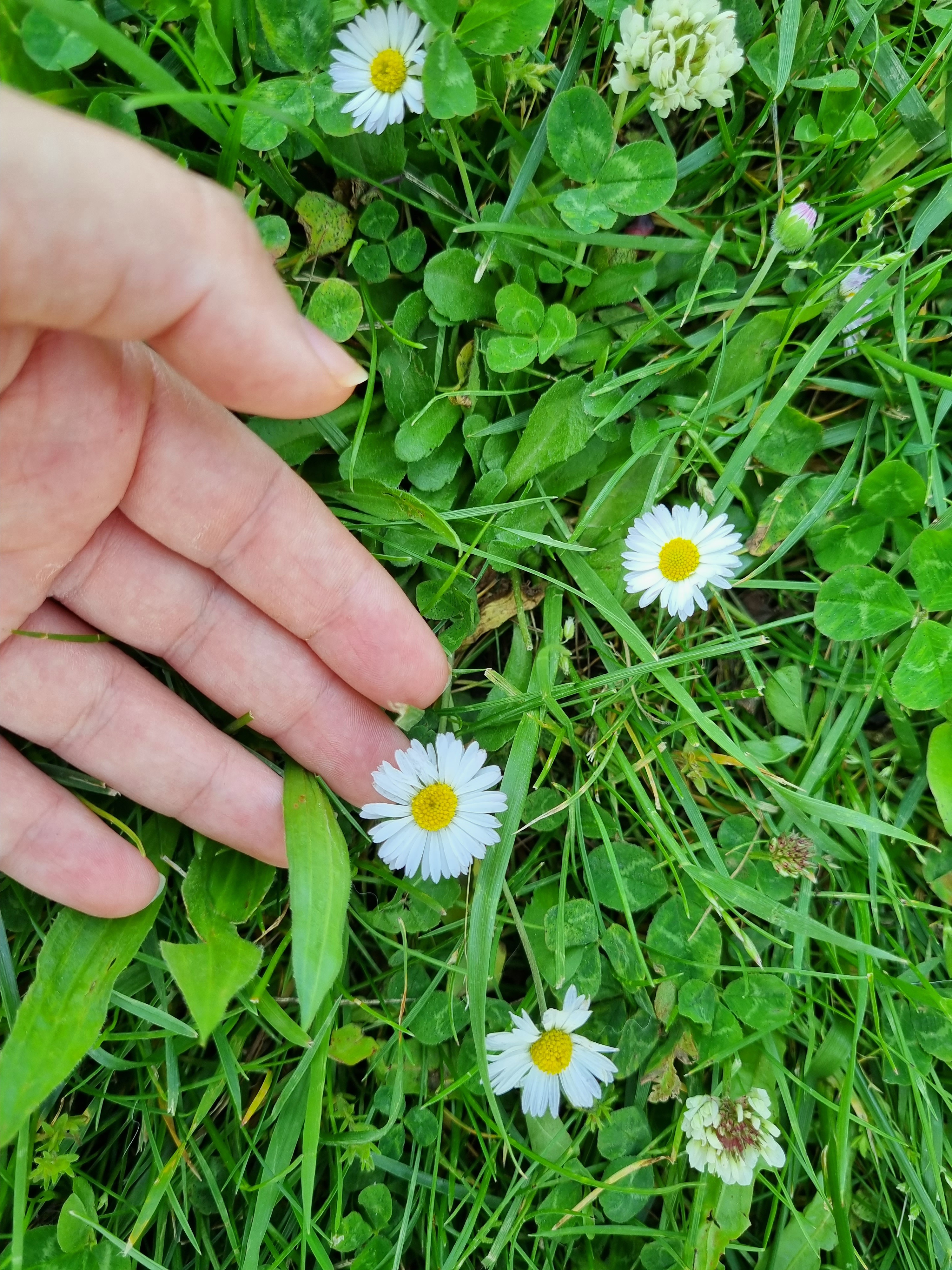 20230521_170615.jpg