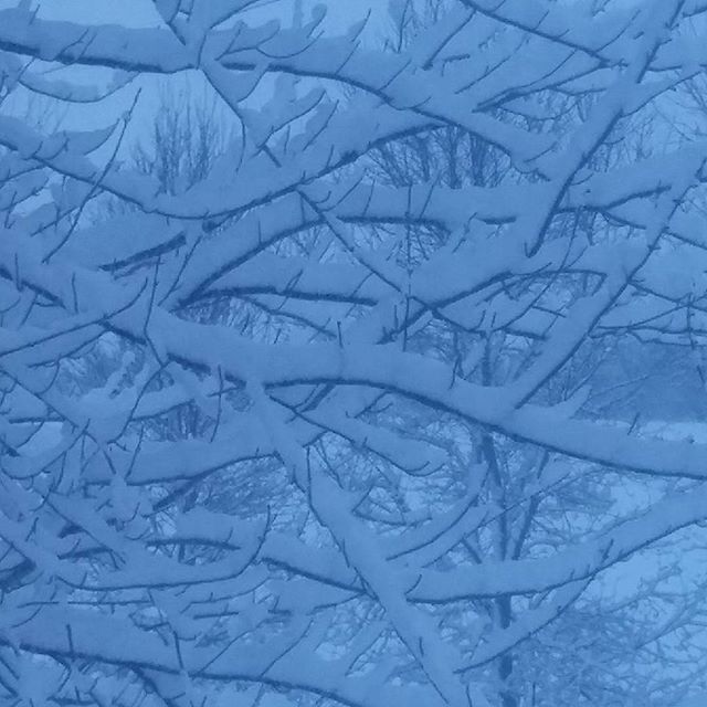 16230943_184274312054751_7115890515953844224_n.jpg