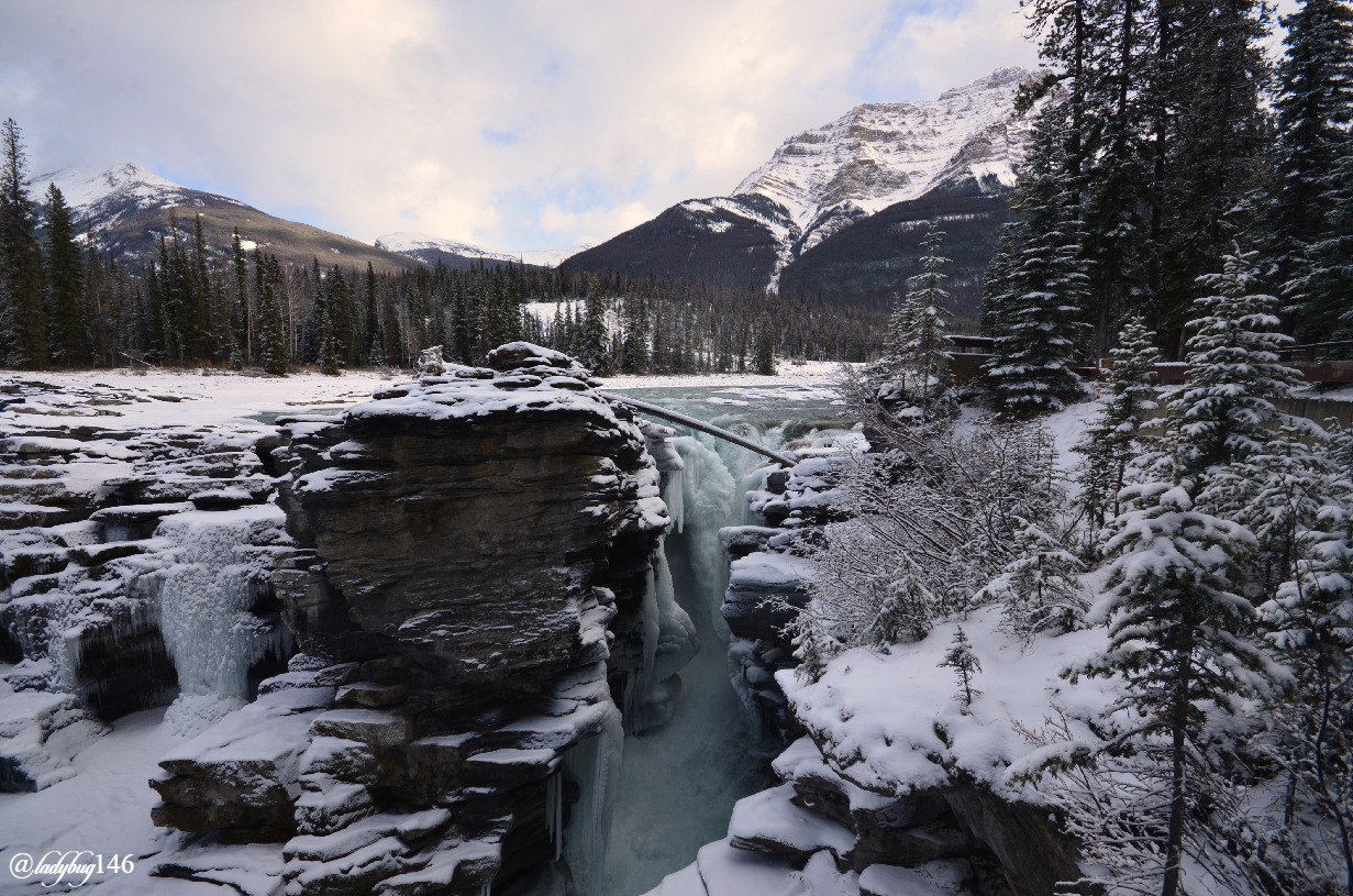 athabasca falls (4).jpg