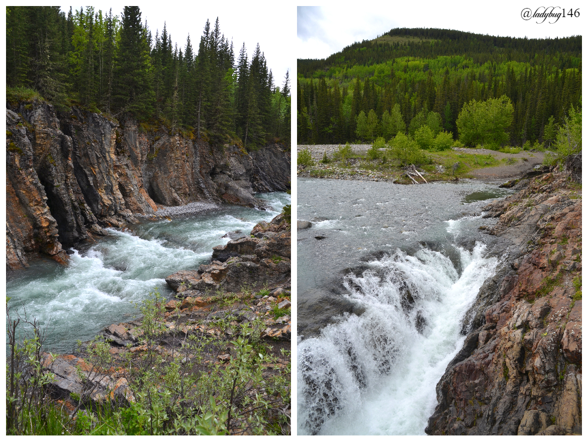 sheep valley provincial park (3).jpg