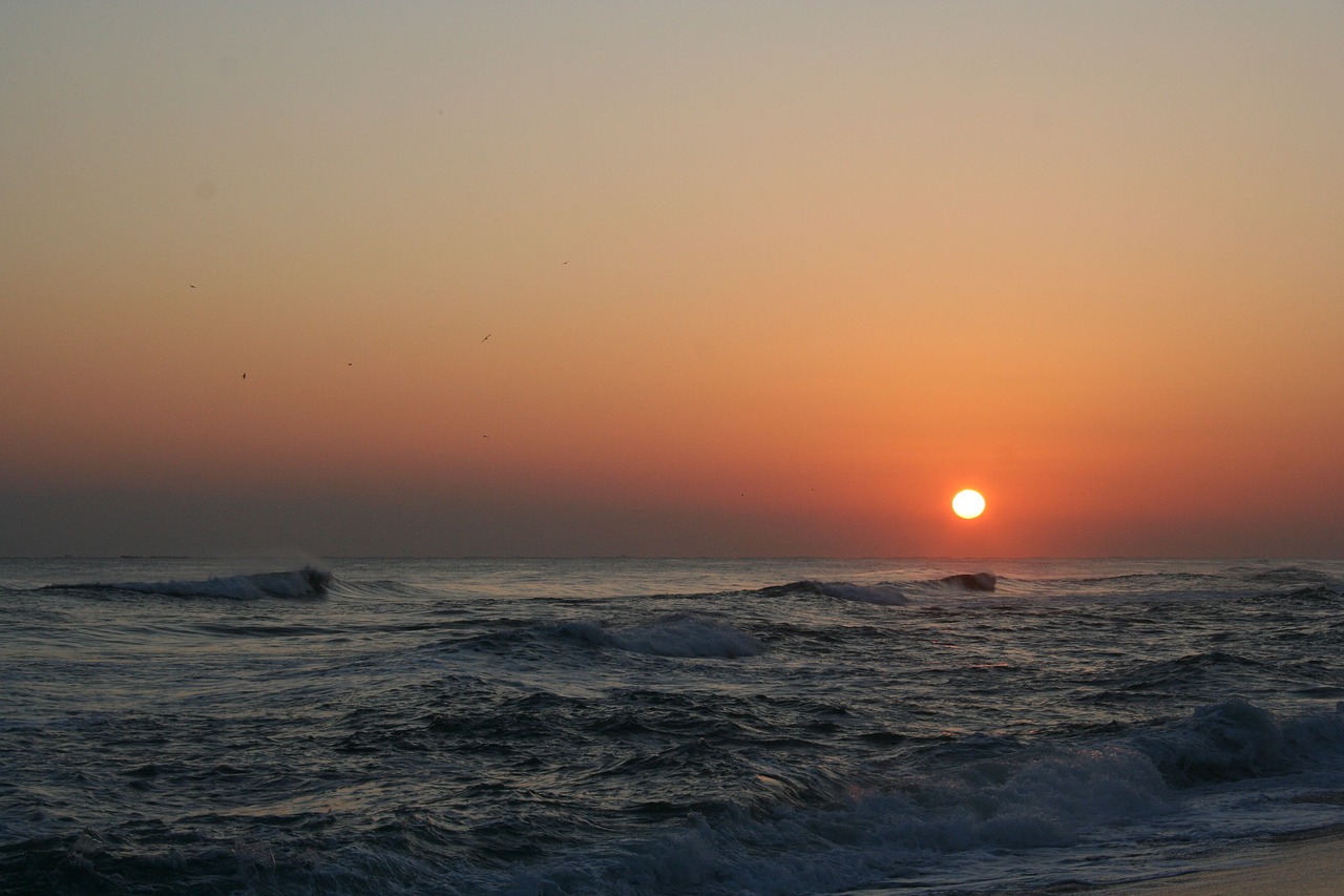 morning-sun-4950210_1280.jpg