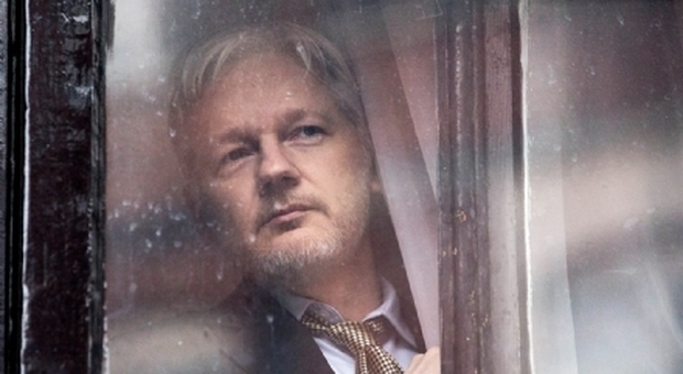  " "4423129_1153_assange2.jpg""