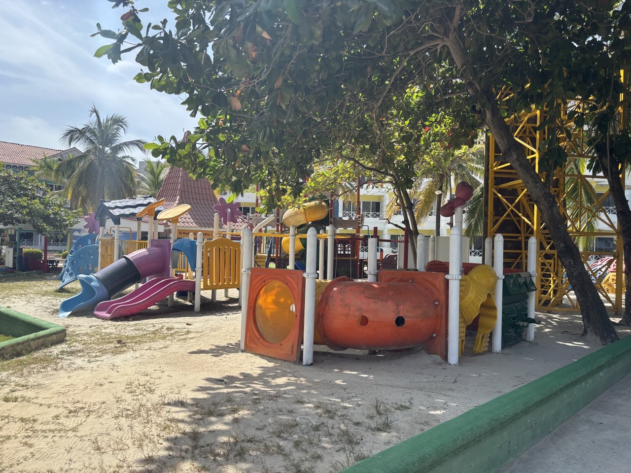 IMG_3653.jpeg
