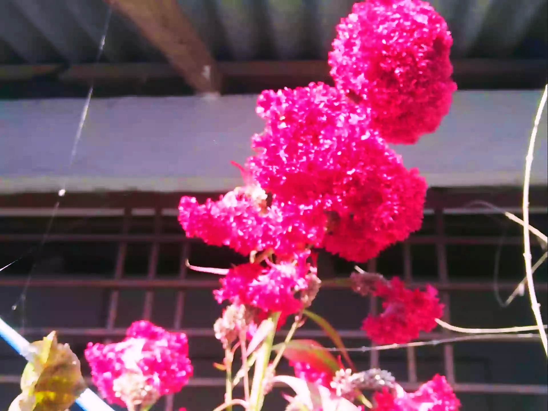 IMG_20220119_003922.jpg