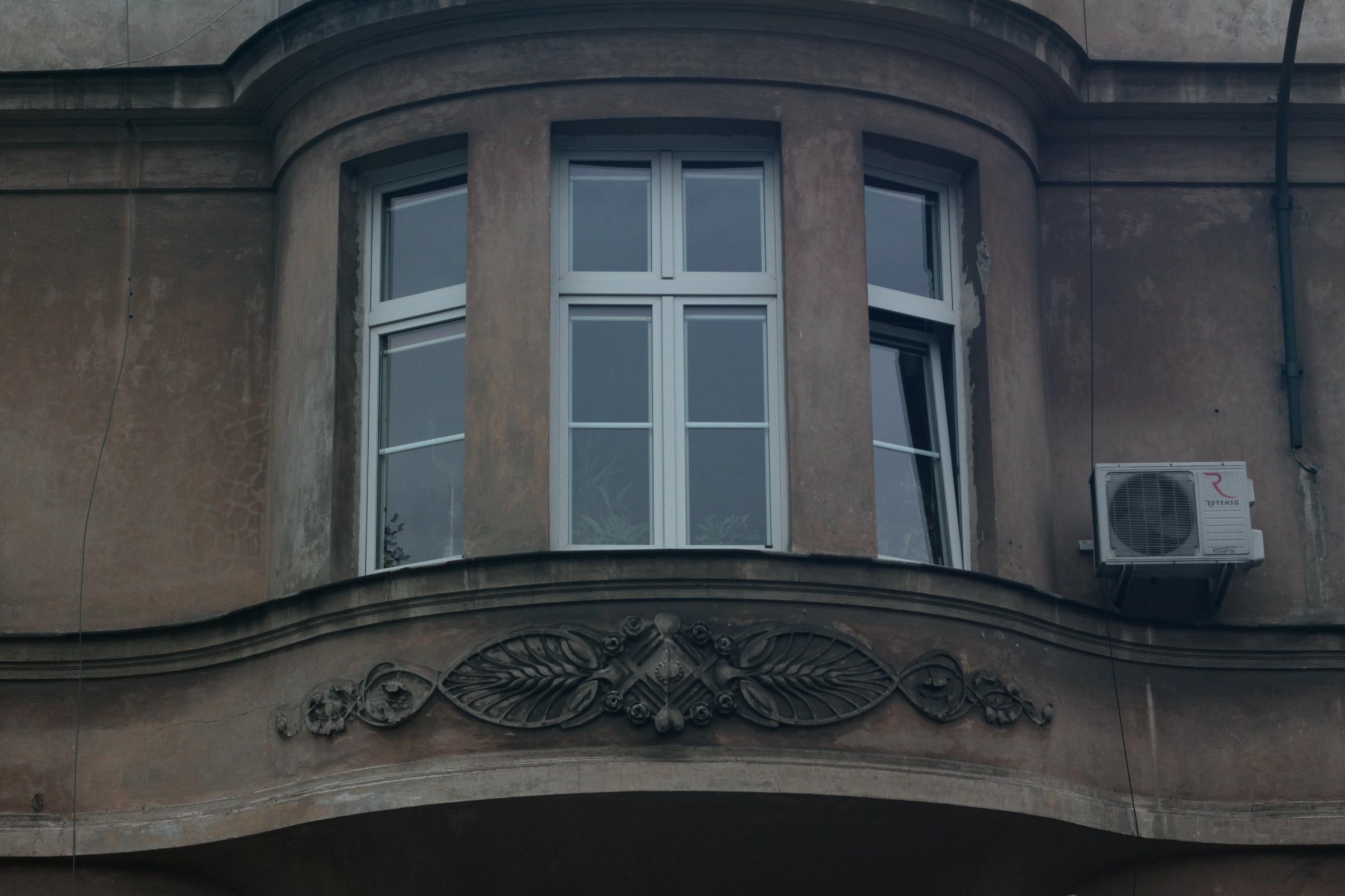 IMG_7017-crop.JPG