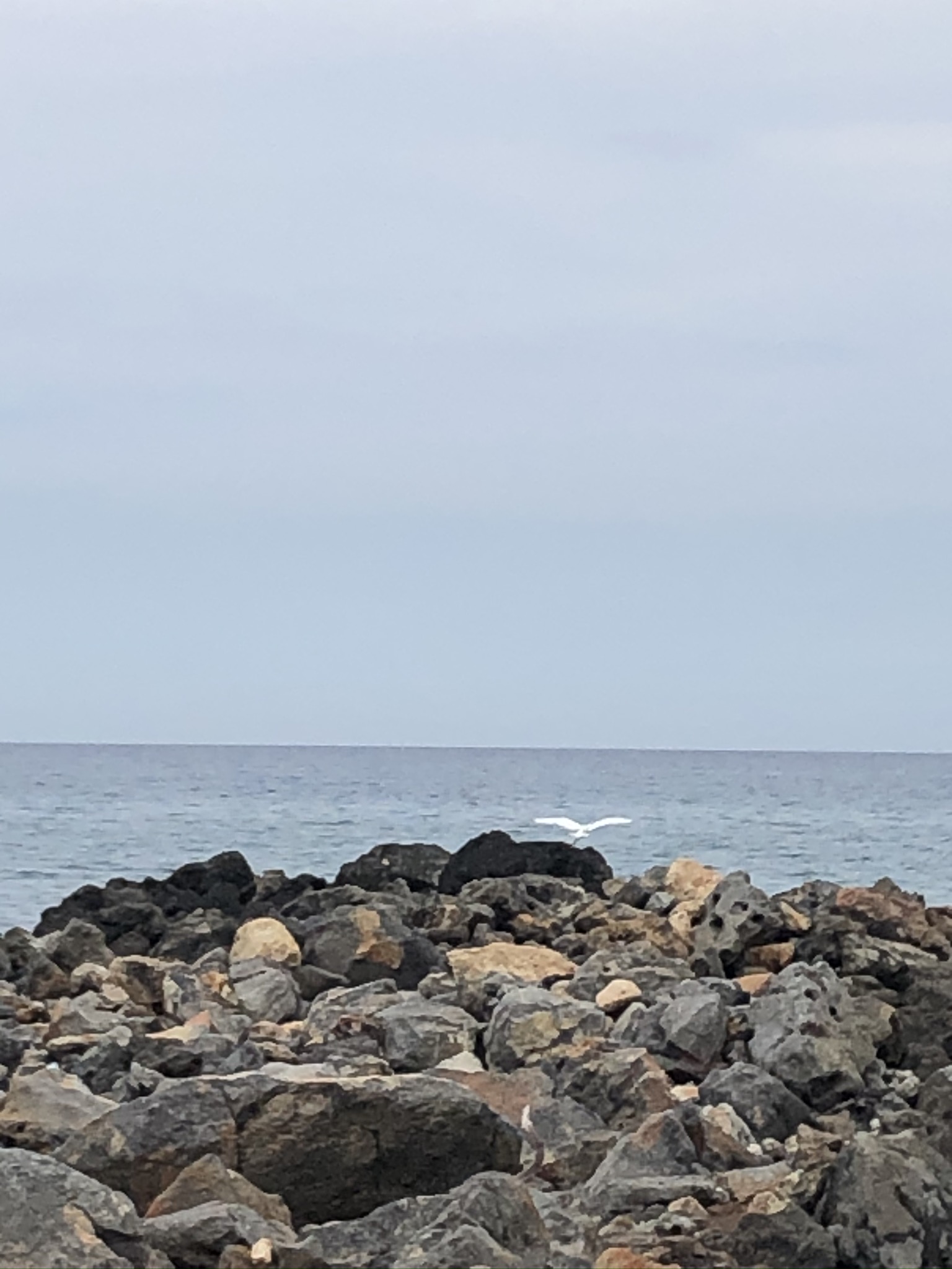 IMG_3429.JPEG