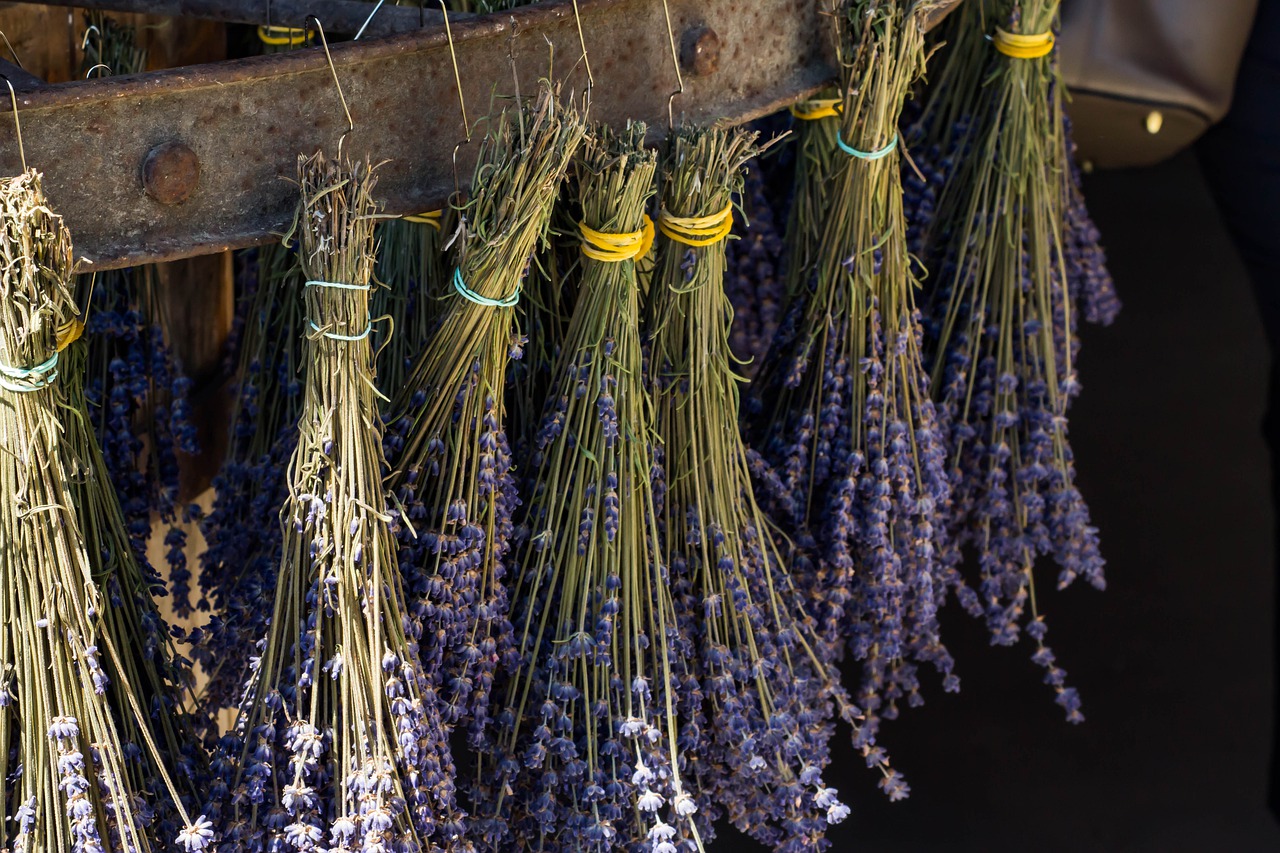 lavender-4363200_1280 pixabay.jpg