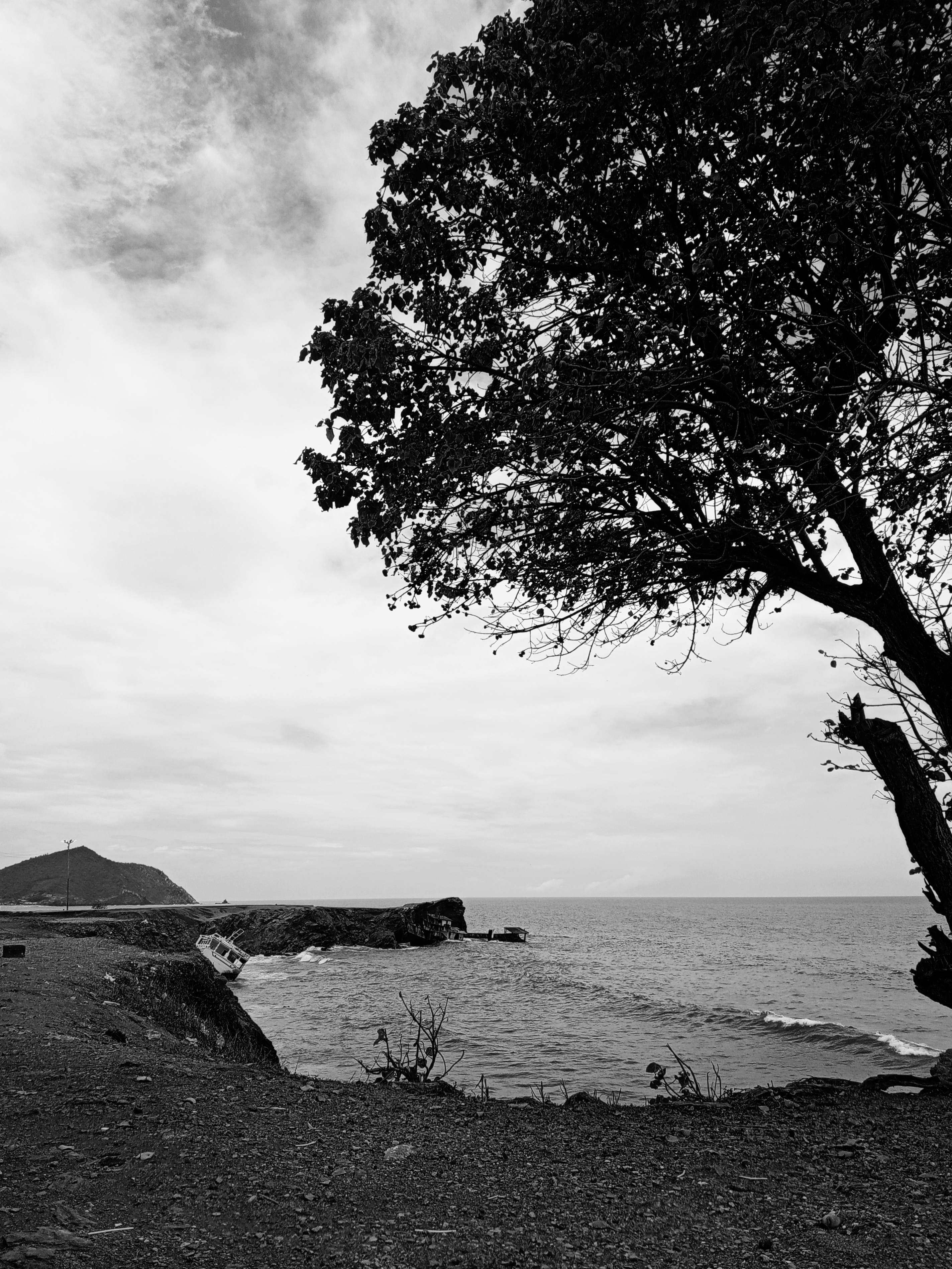 IMG_20250408_121906_645 (1).jpg