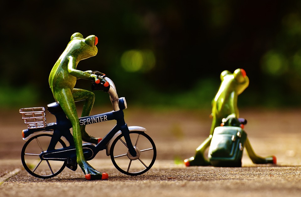frogs-1701047_960_720.jpg