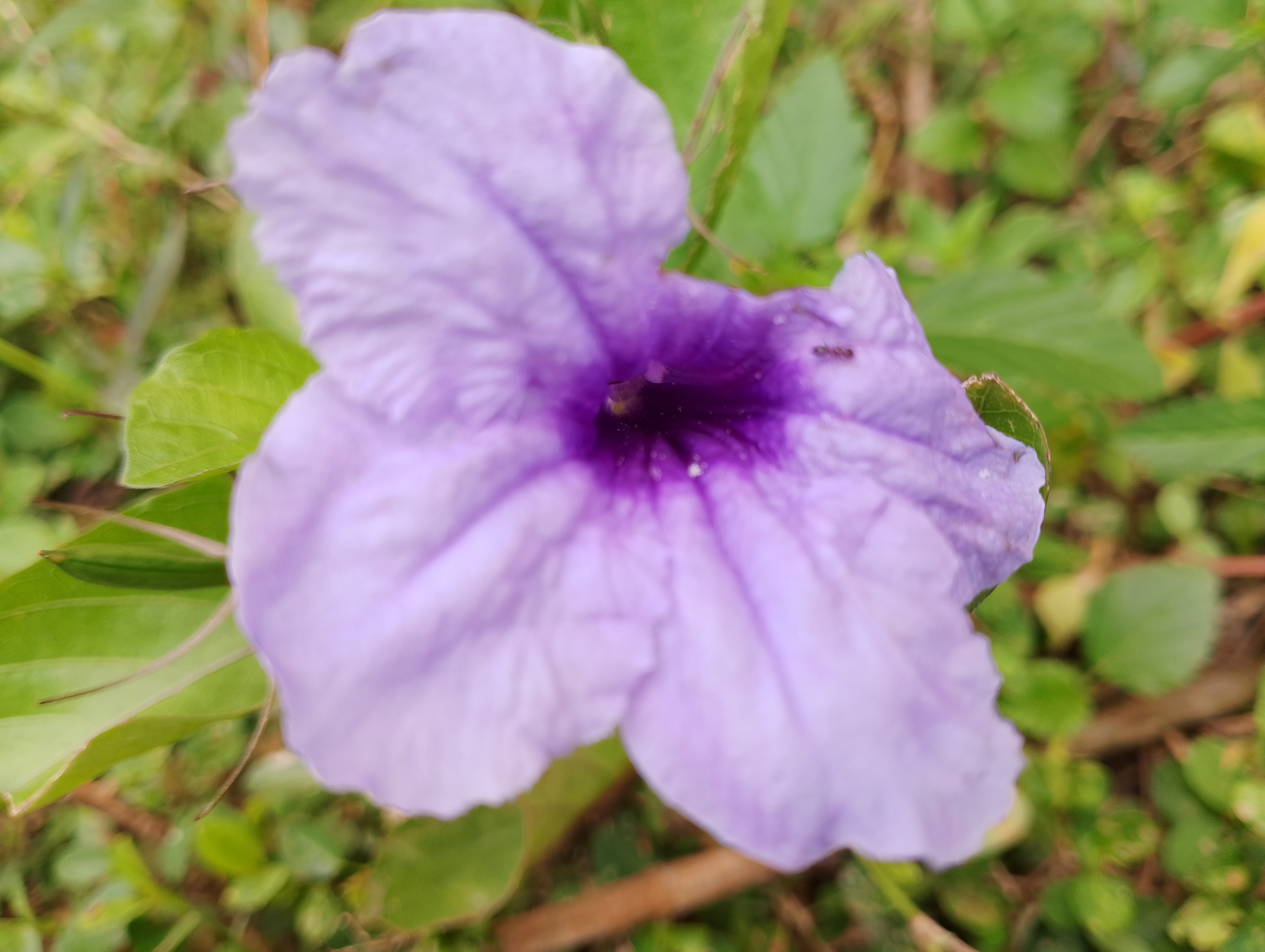 IMG_20250509_110030.jpg