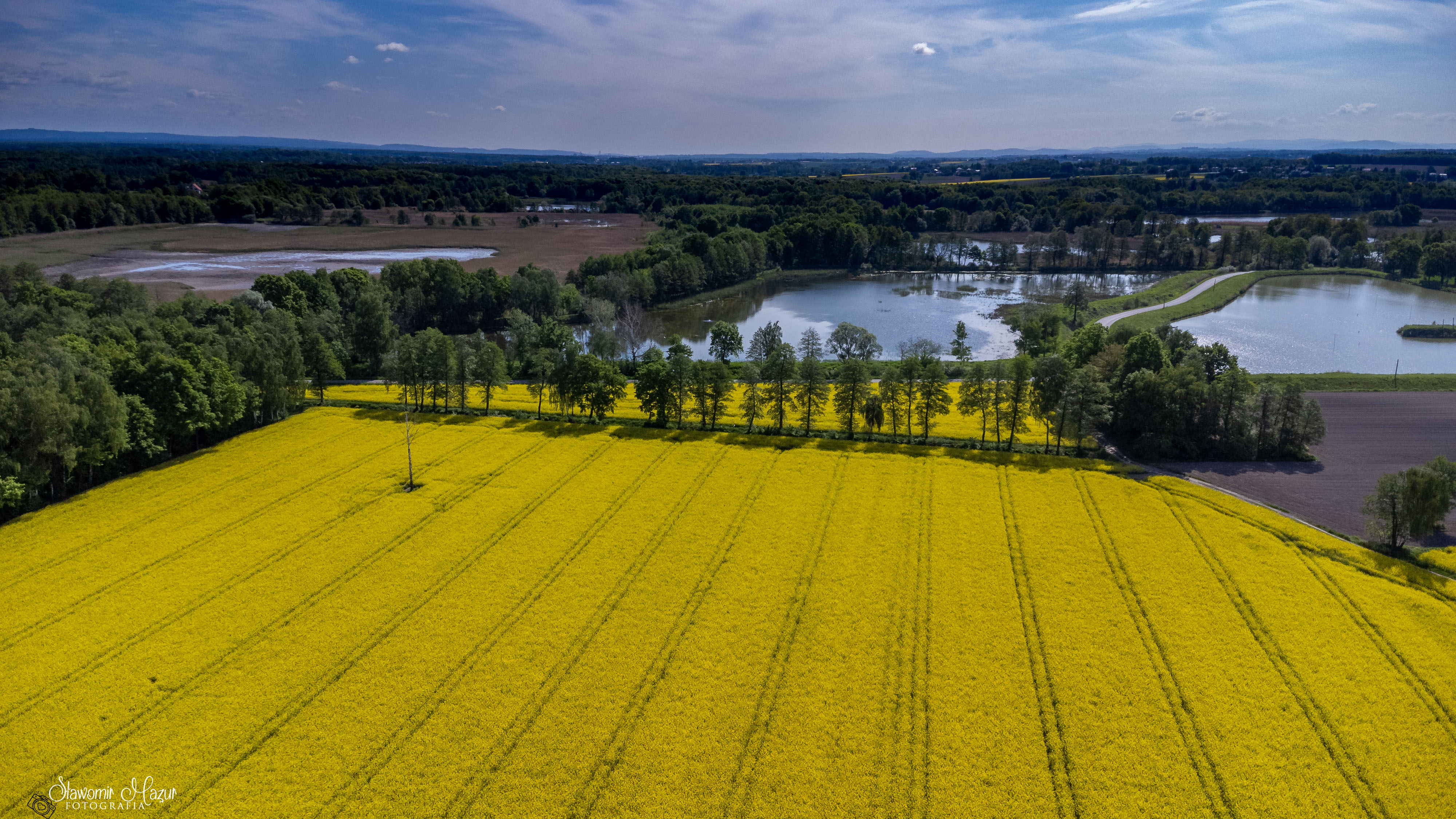DJI_0542.jpg