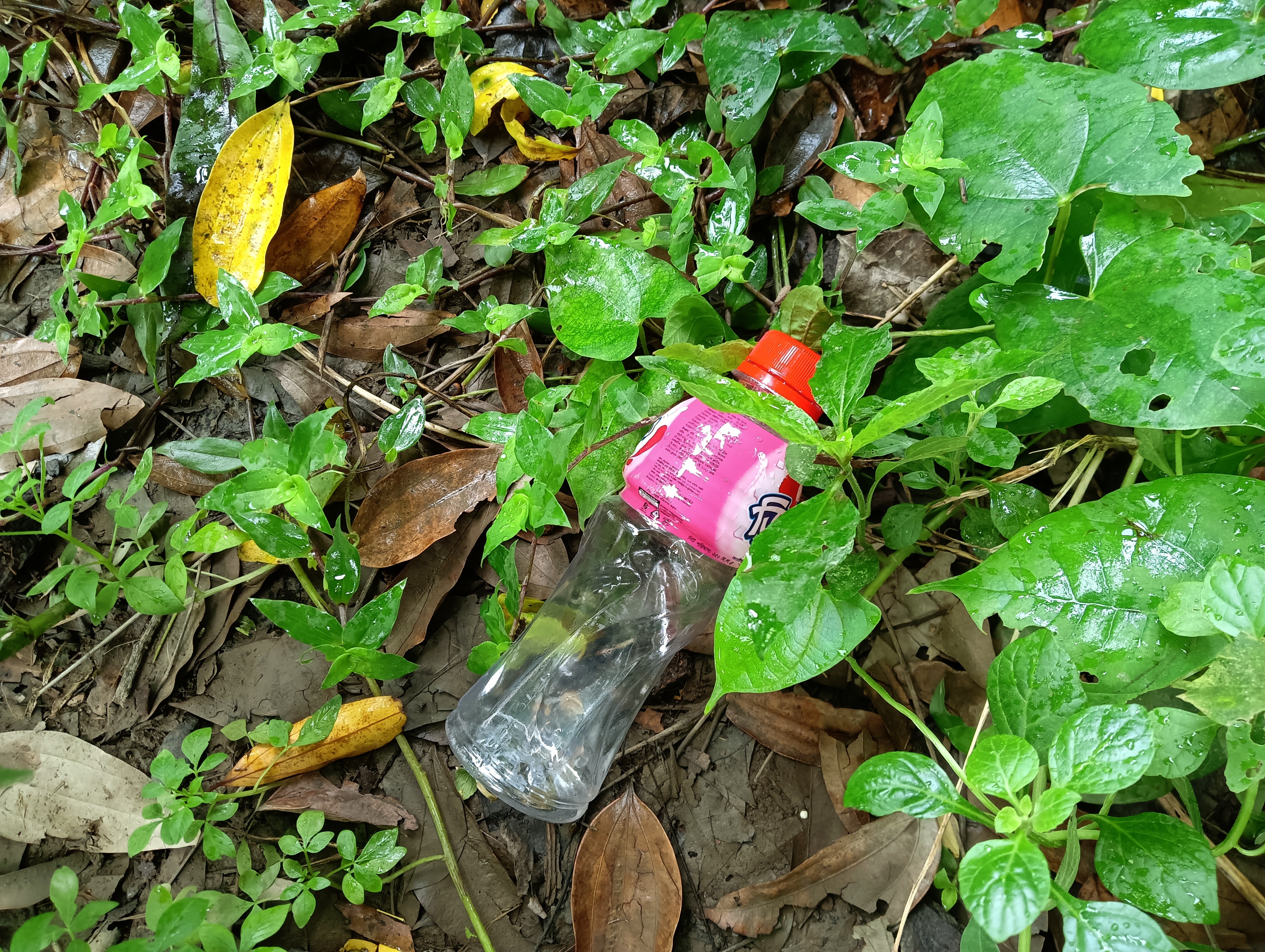 IMG20240827105139.jpg