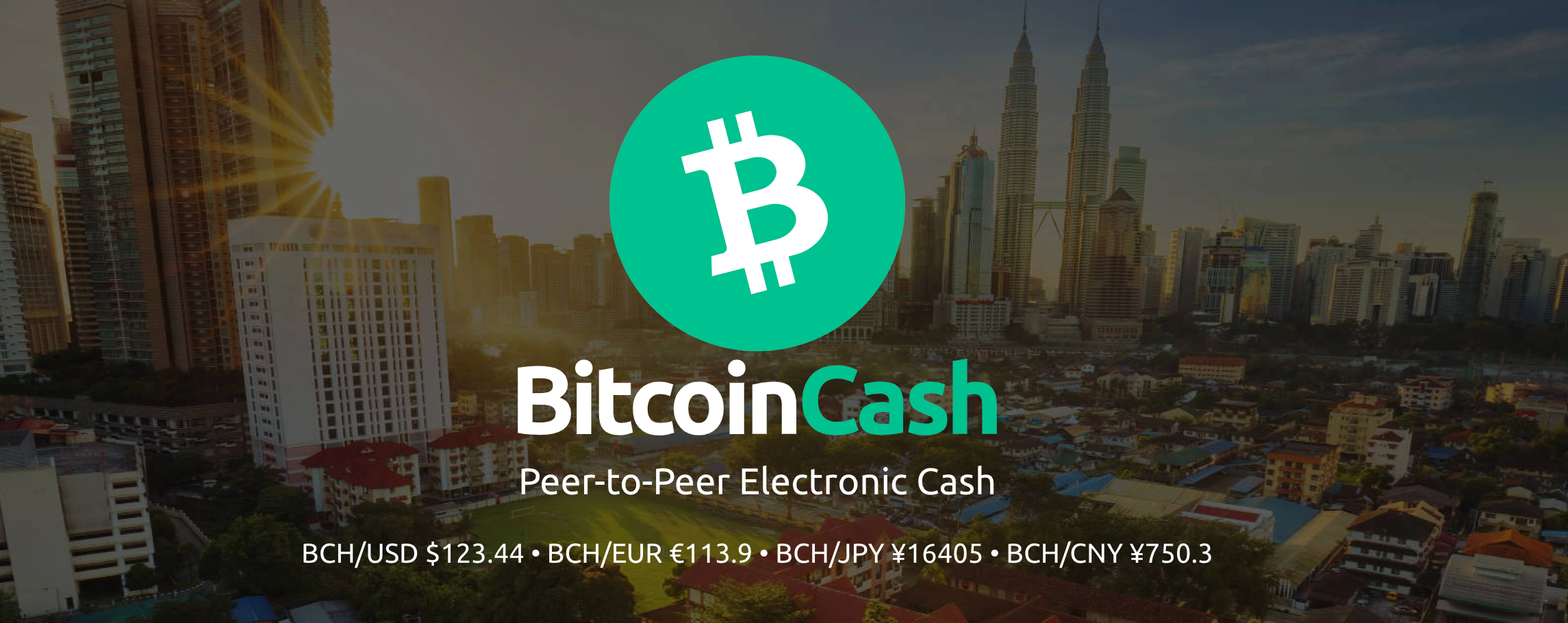Bitcoin Cash (BCH banner with price quotes by currency underneath the logo.