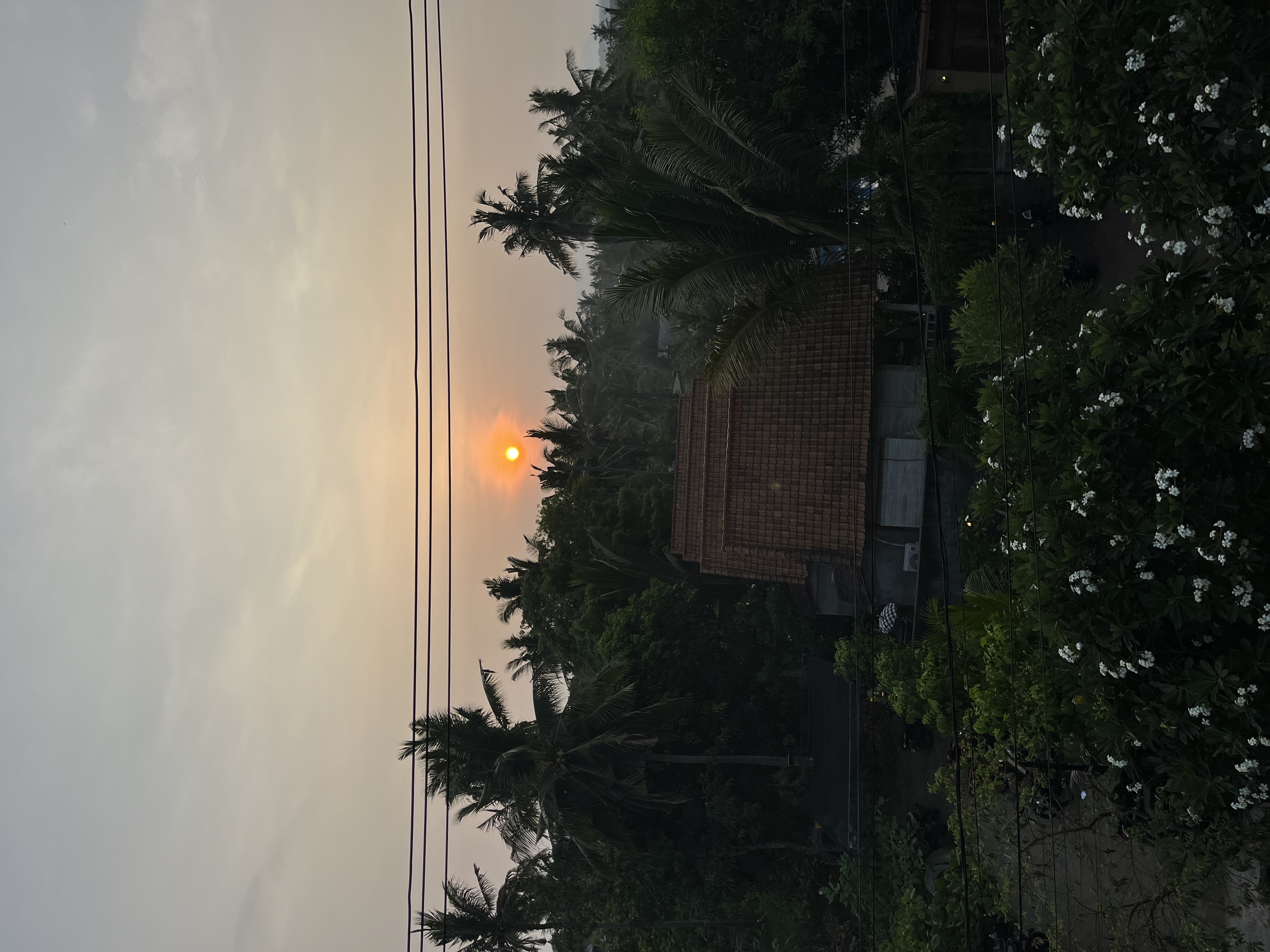 IMG_8801.jpeg