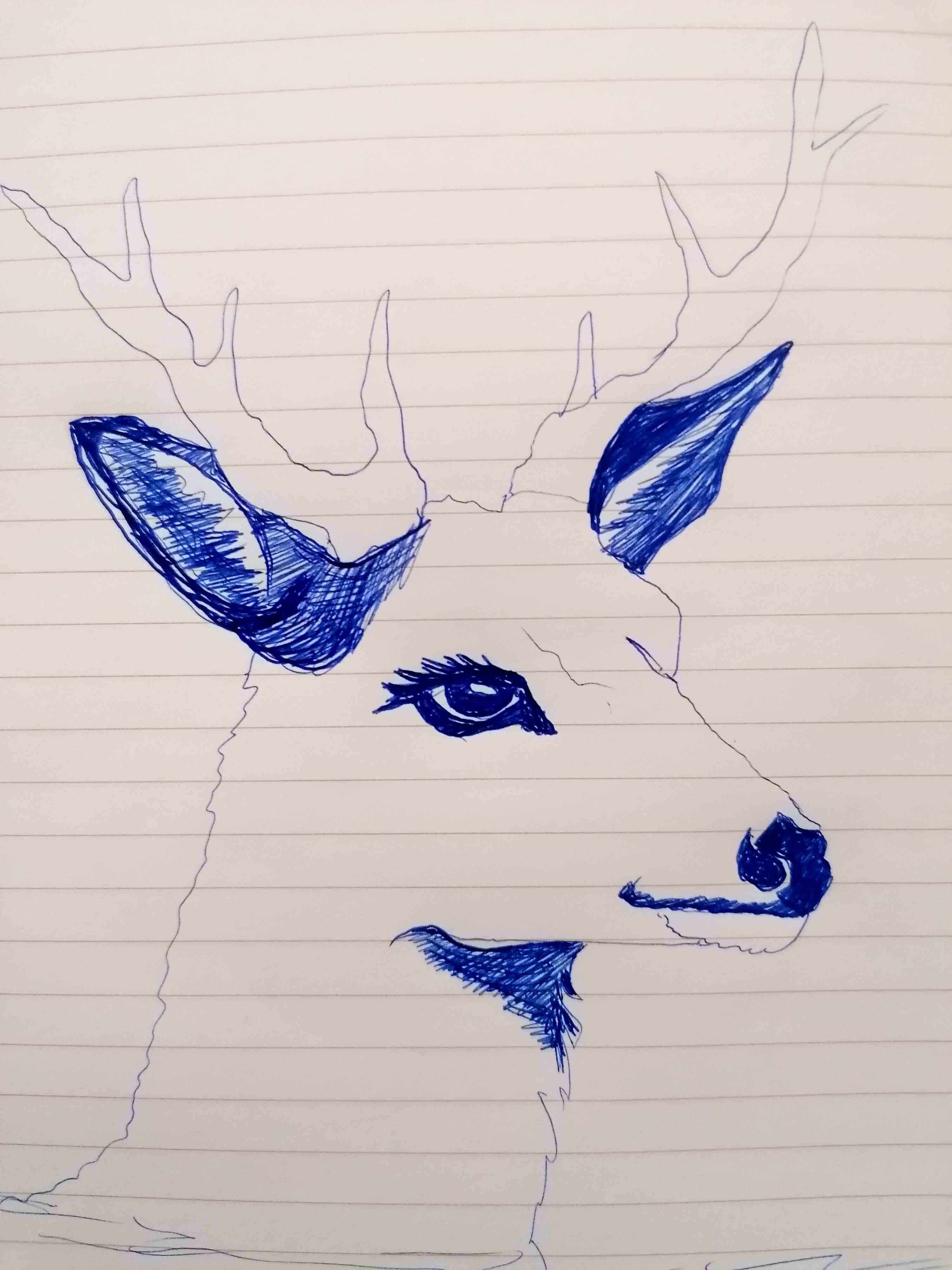 65950519304367976.jpg
