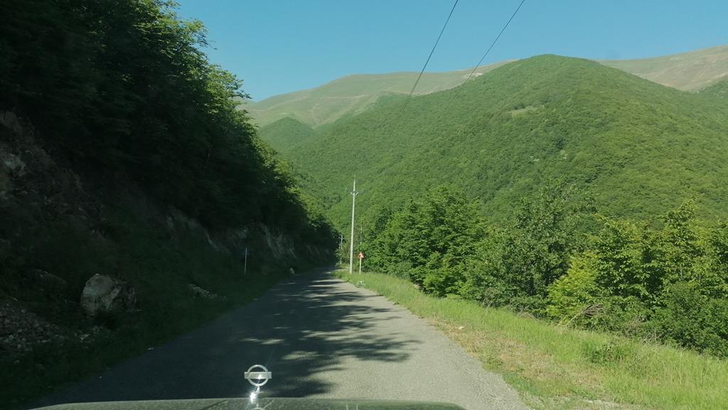 IMG_20250531_093328.jpg