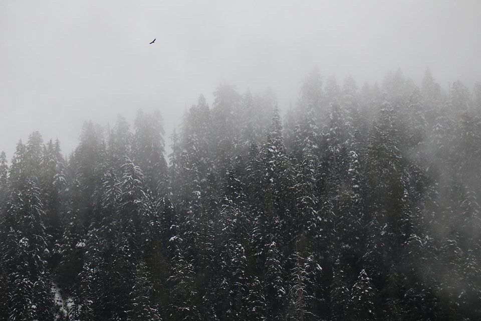 98289616-486D-4541-88D2-63A3444D779A.jpeg