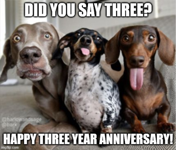 Screenshot_2020-06-14 Three dogs Meme Generator - Imgflip.png