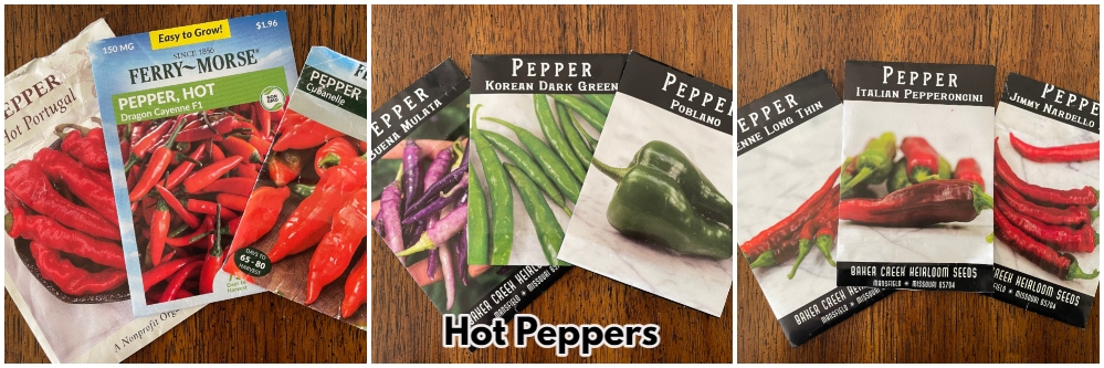 gardening-greenhouse-peppers-1.jpg