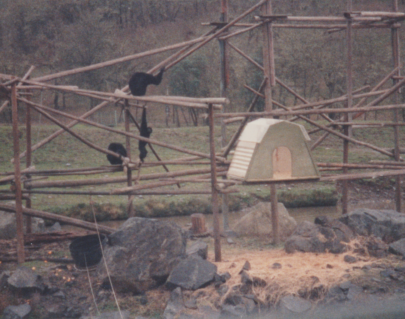 1992-12-26 - Saturday - Wildlife Safari Trip, Marilyn, Crystal-15.png