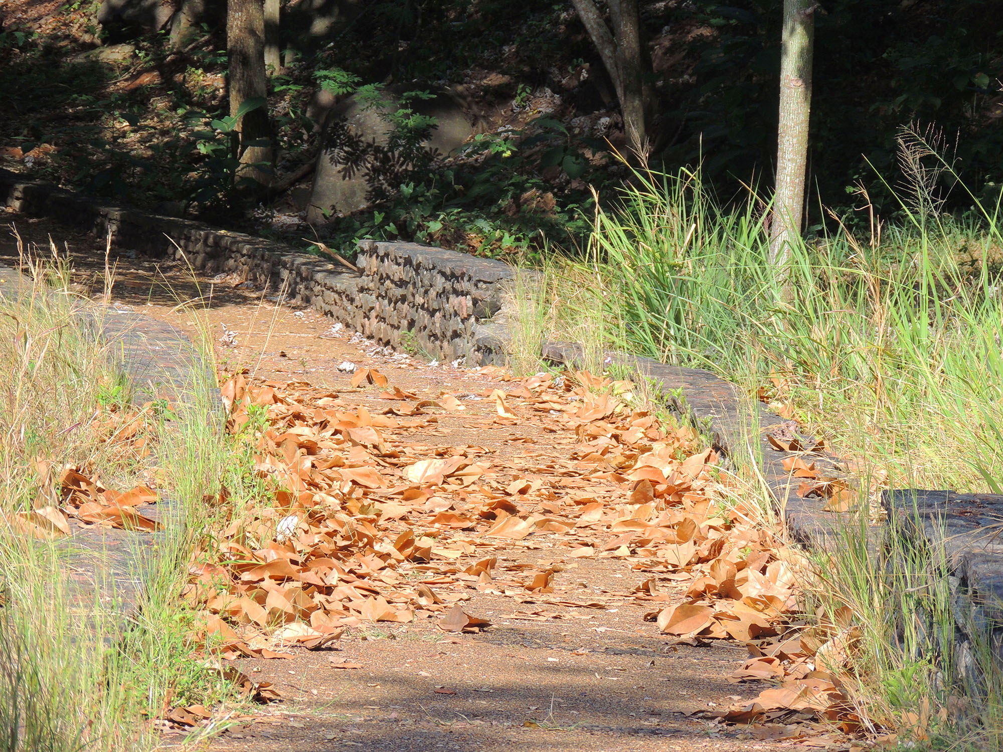 DSCN5176.JPG