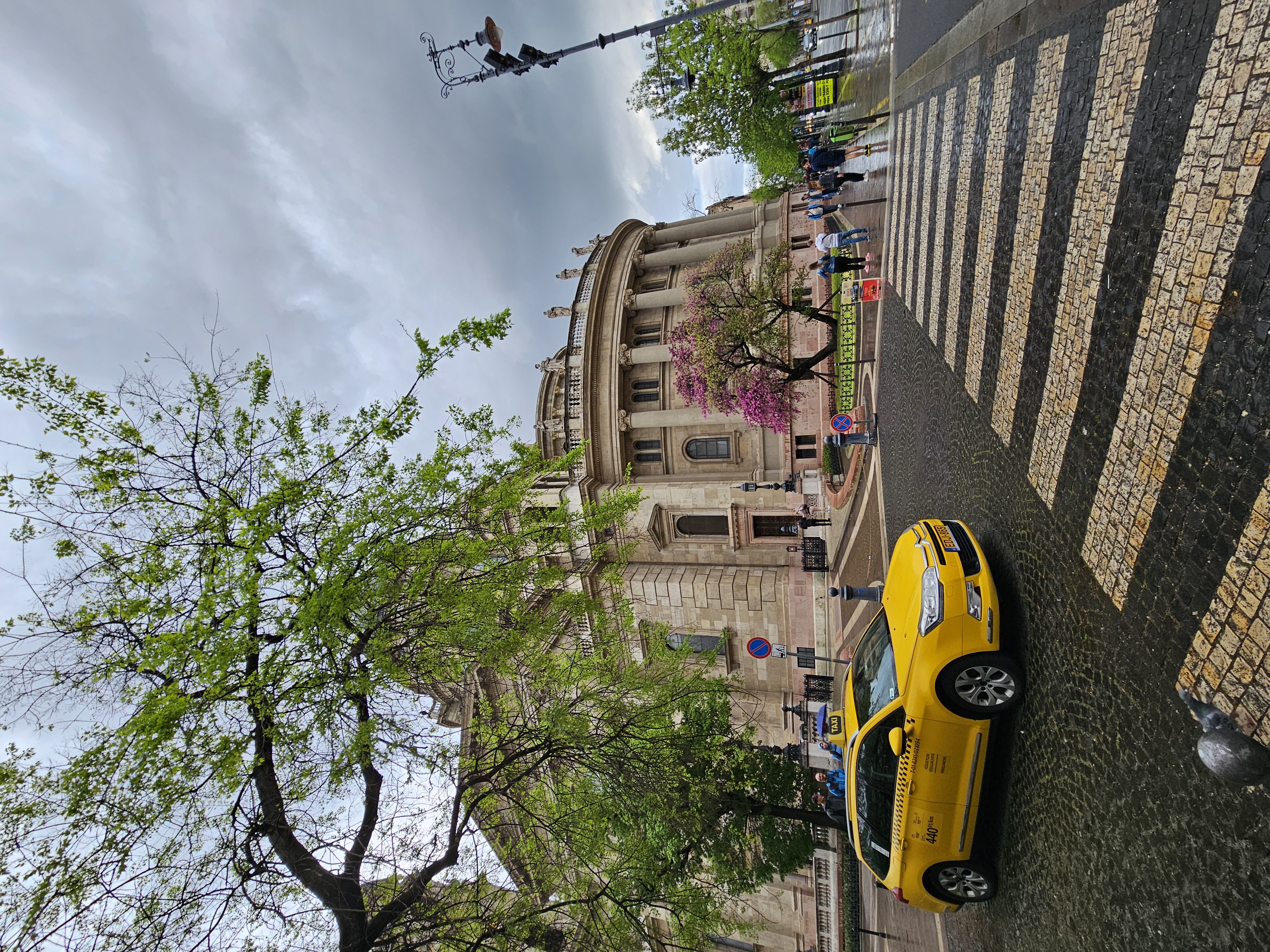 20250418_173457.jpg